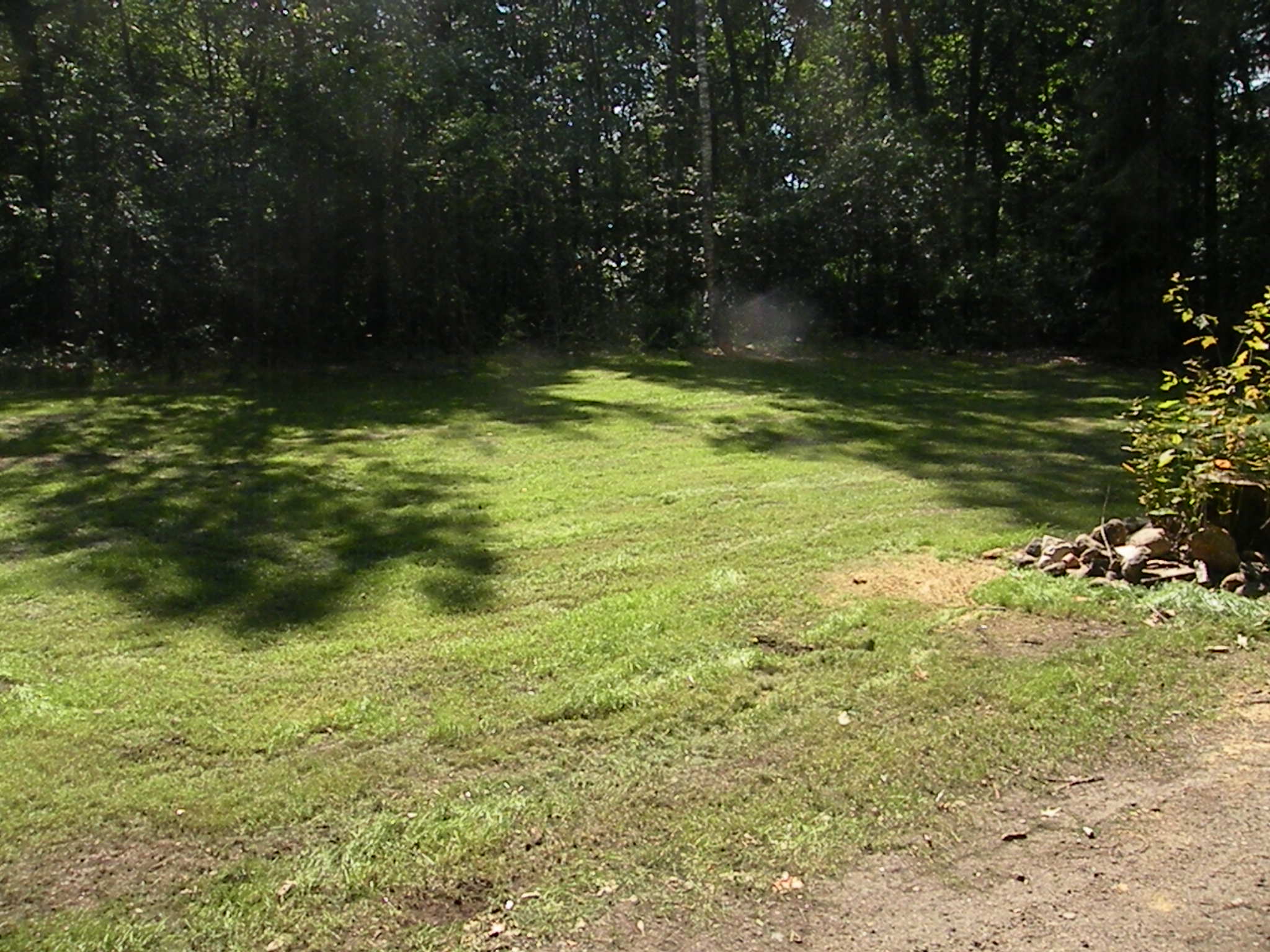 - image: 12