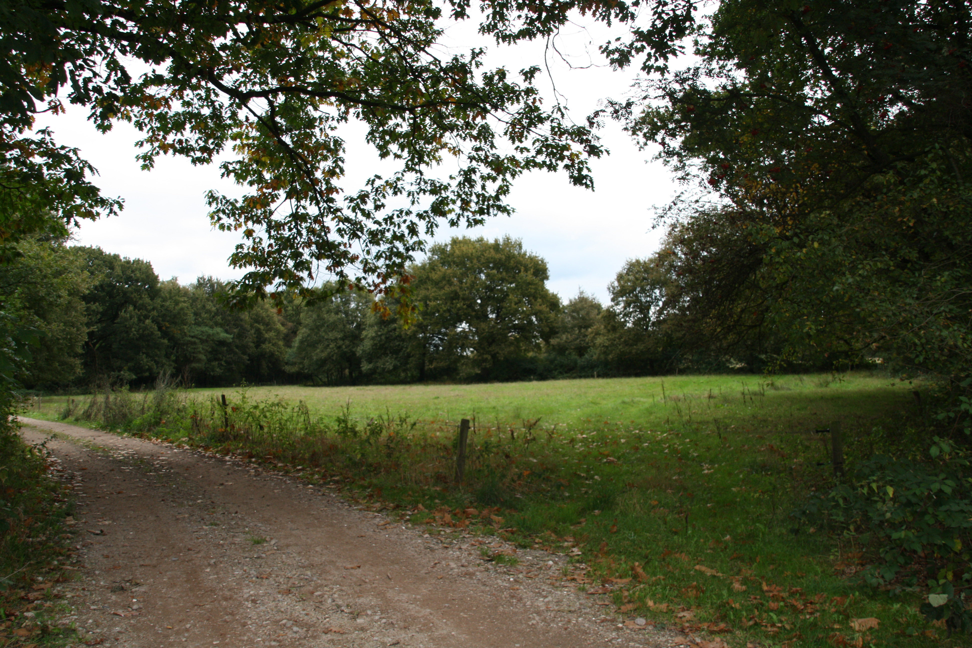 Natuurhuisje in Balkbrug
