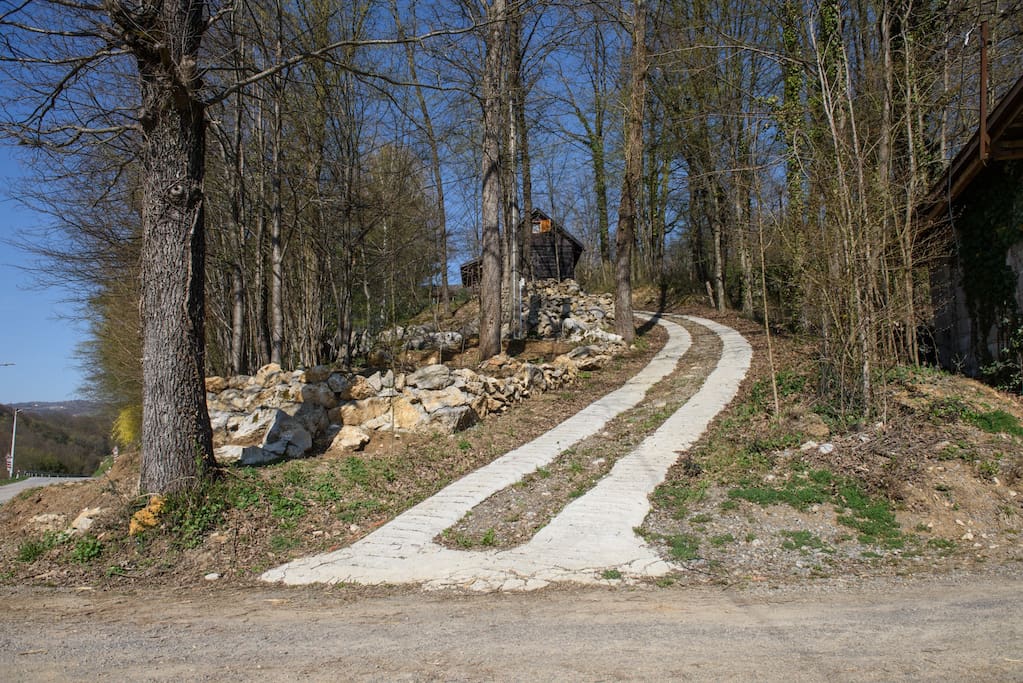 - image: 14
