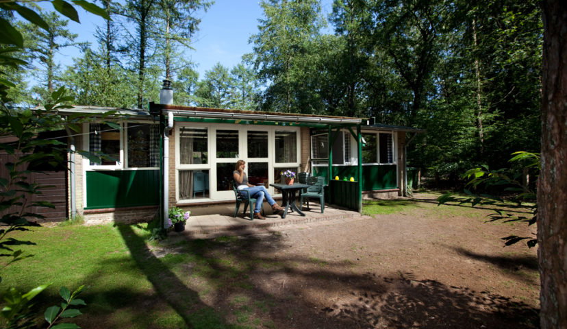 - image: 26
