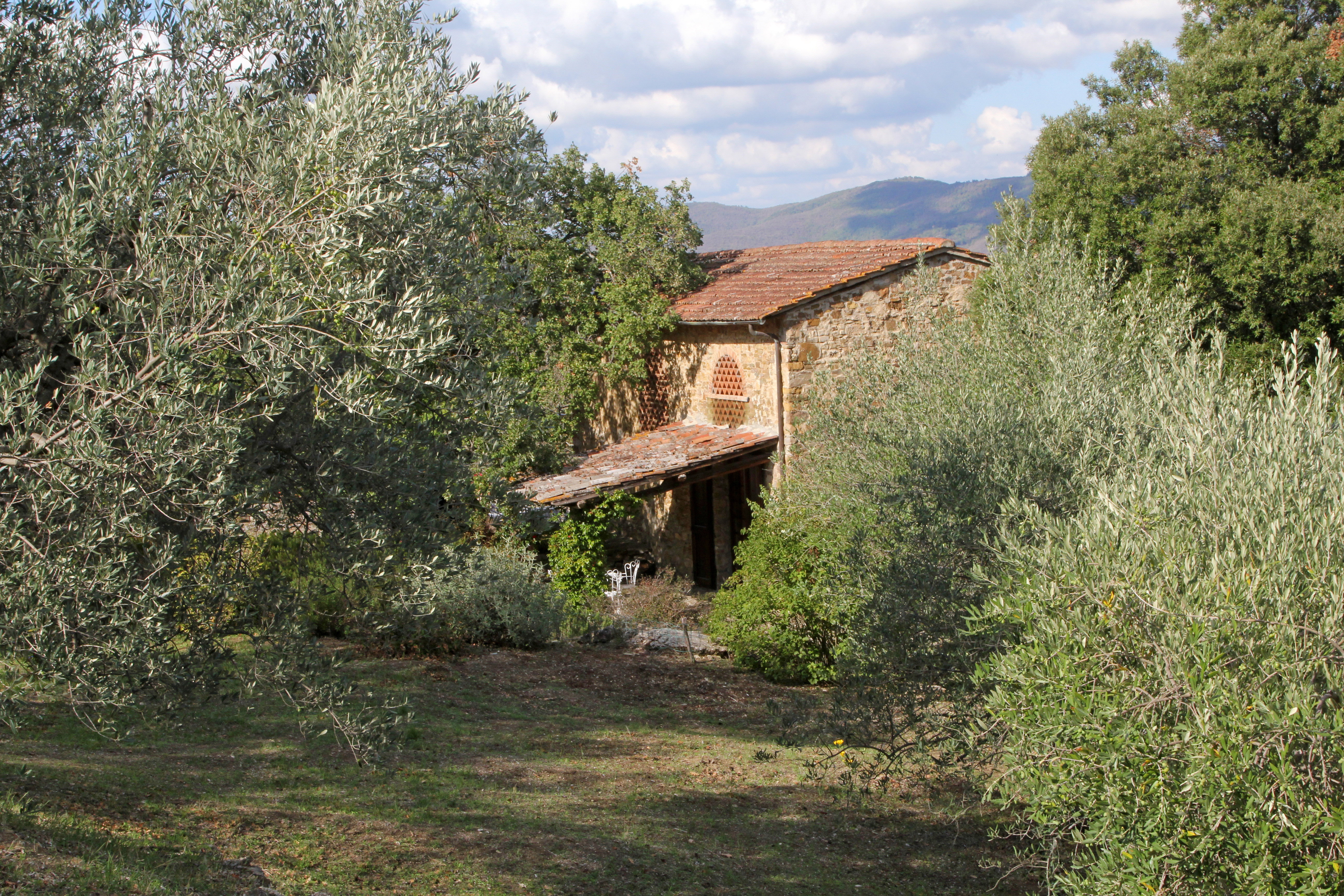 Casa nella natura a Greve in Chianti