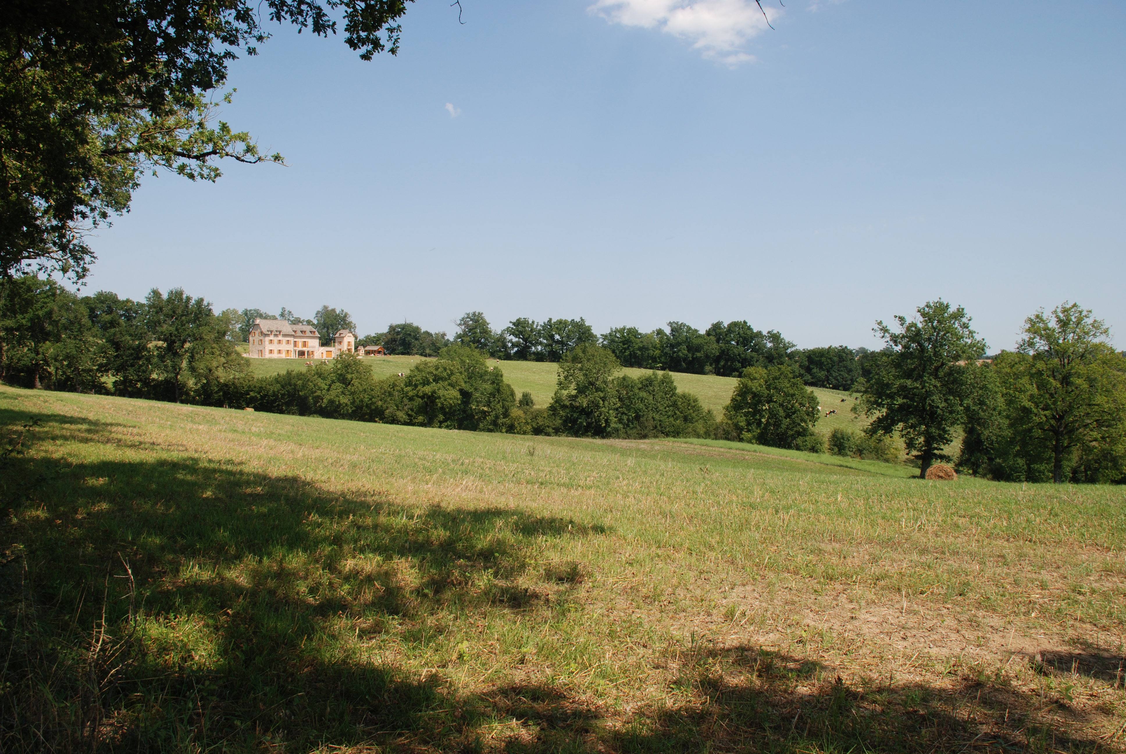 - image: 12