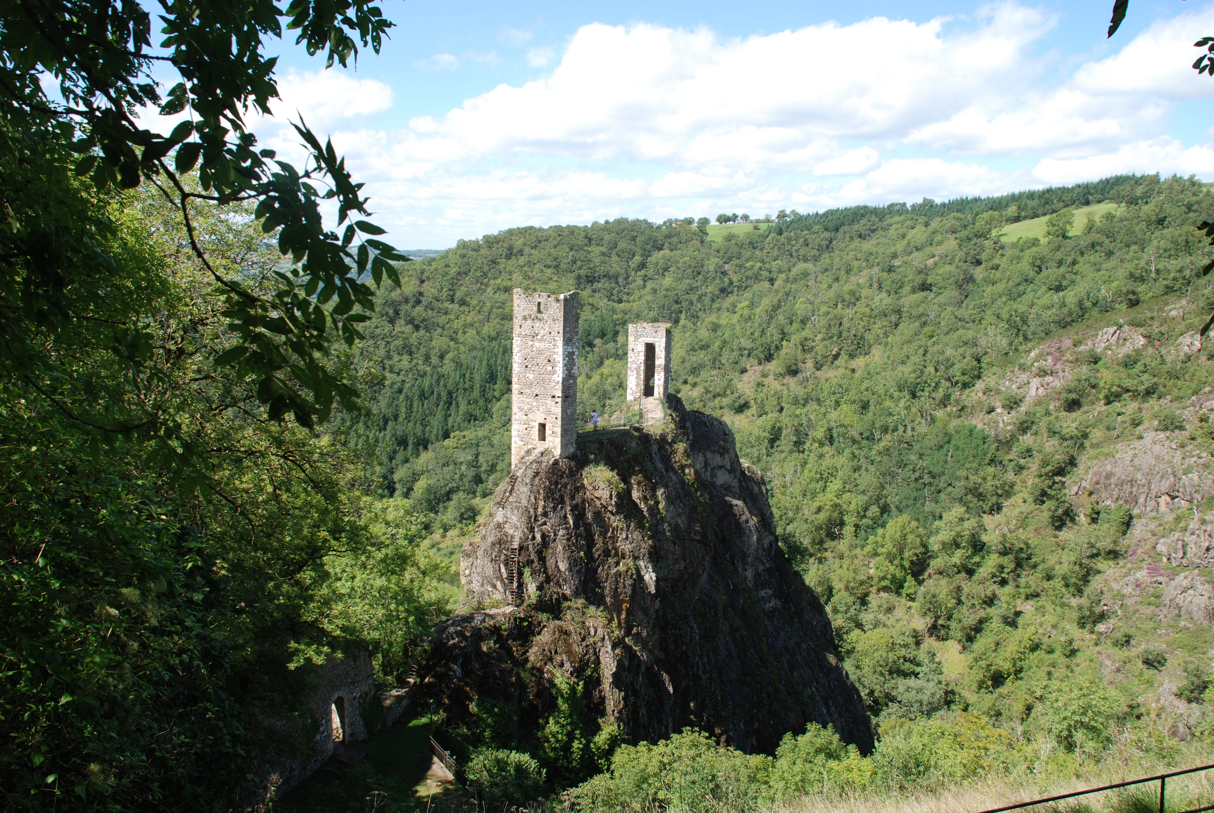- image: 43