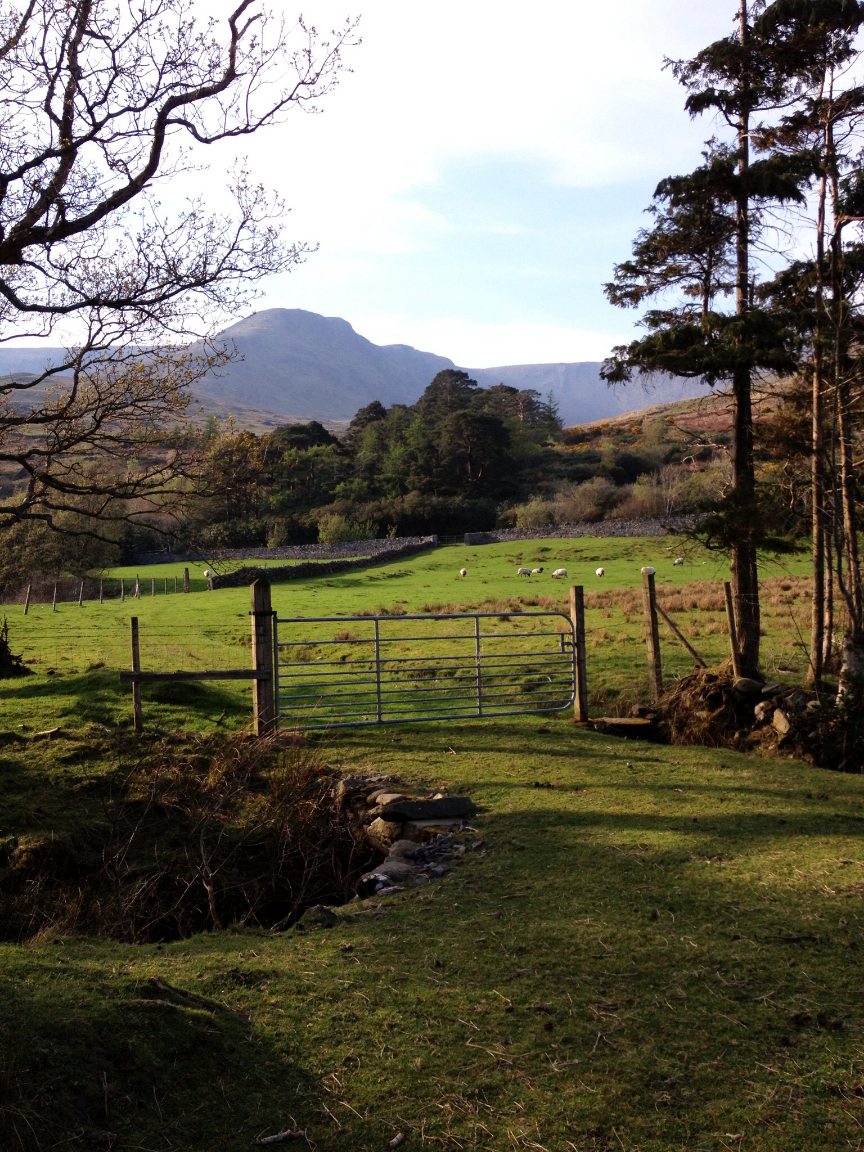 Maison nature à Finney, Co Mayo