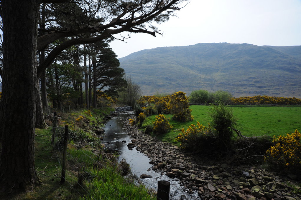Maison nature à Finney, Co Mayo