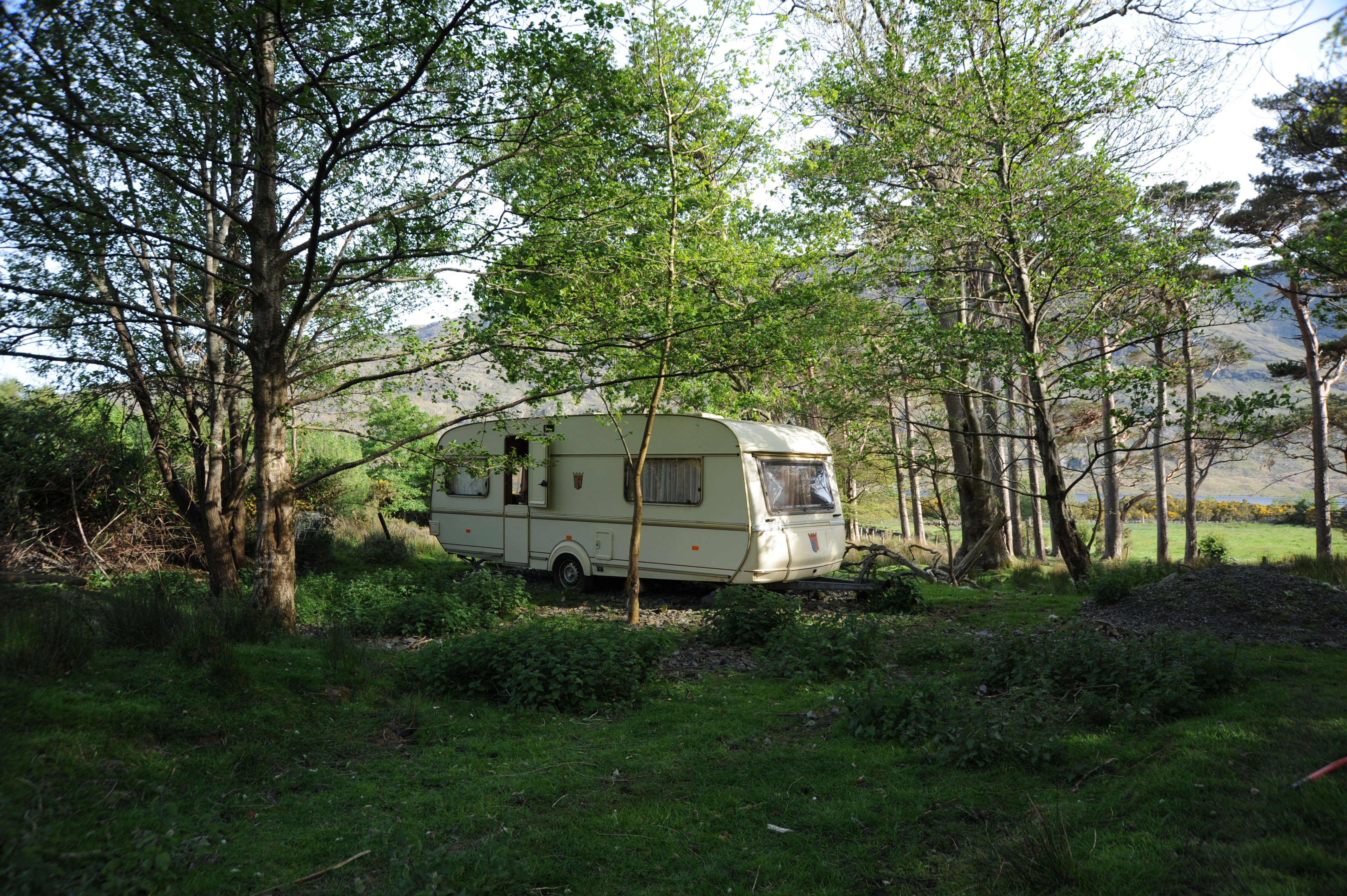 - image: 11