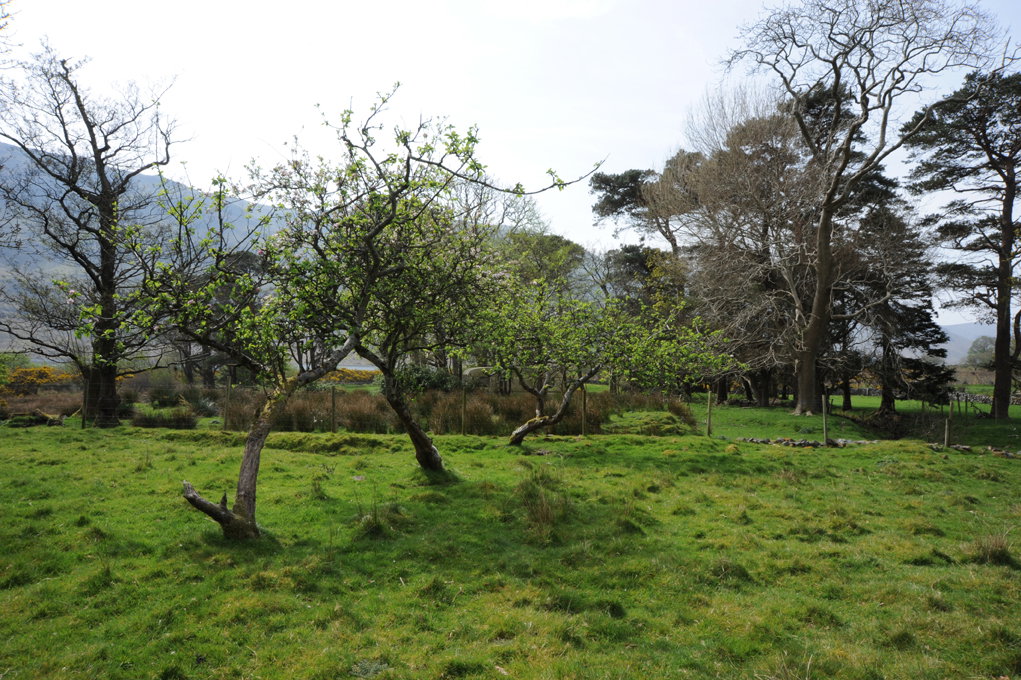 Maison nature à Finney, Co Mayo