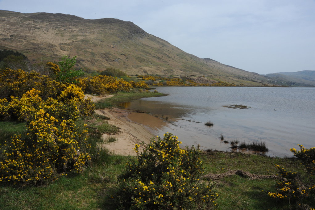 Maison nature à Finney, Co Mayo