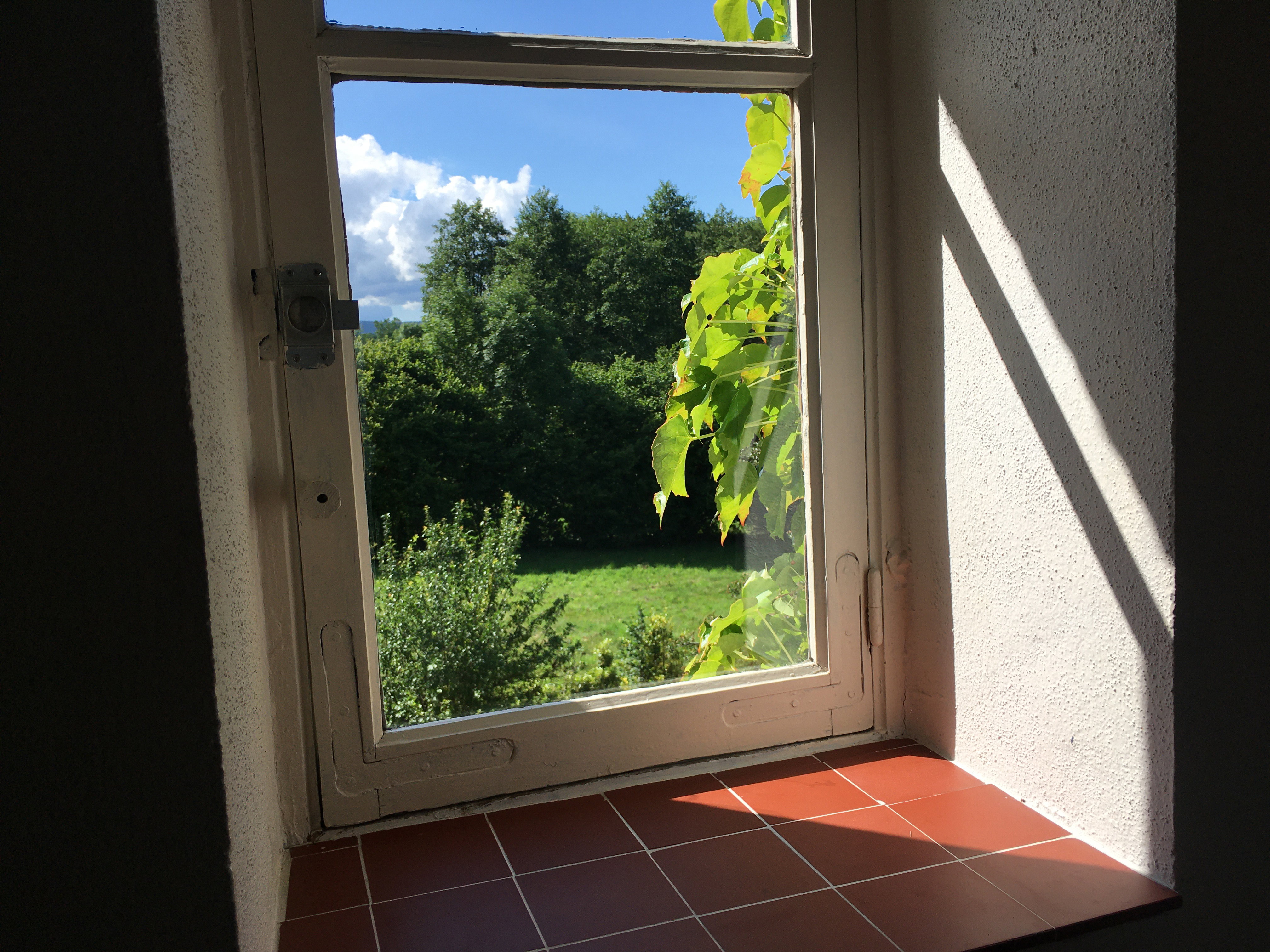 - image: 61