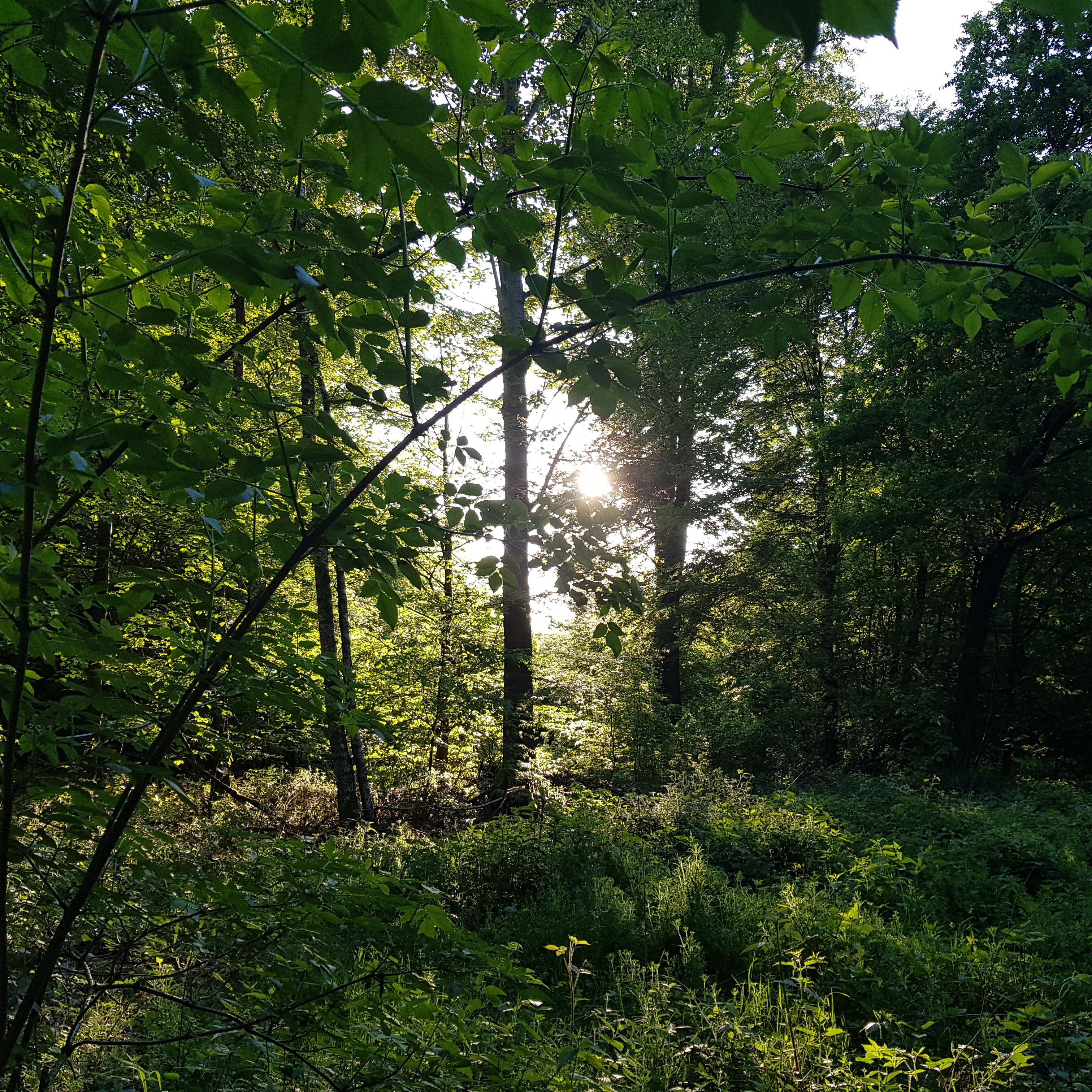 Maison nature à Mücke