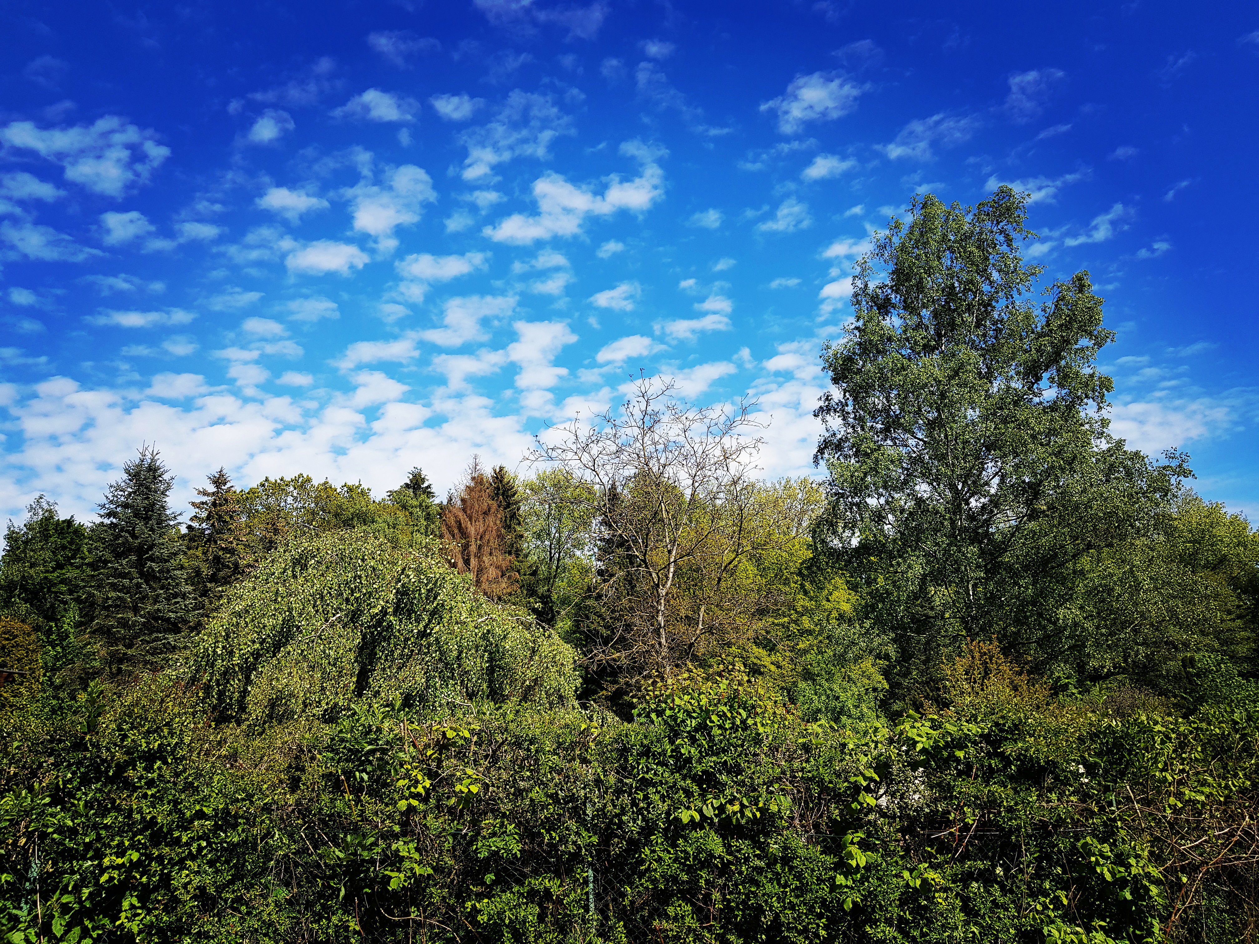 Maison nature à Mücke