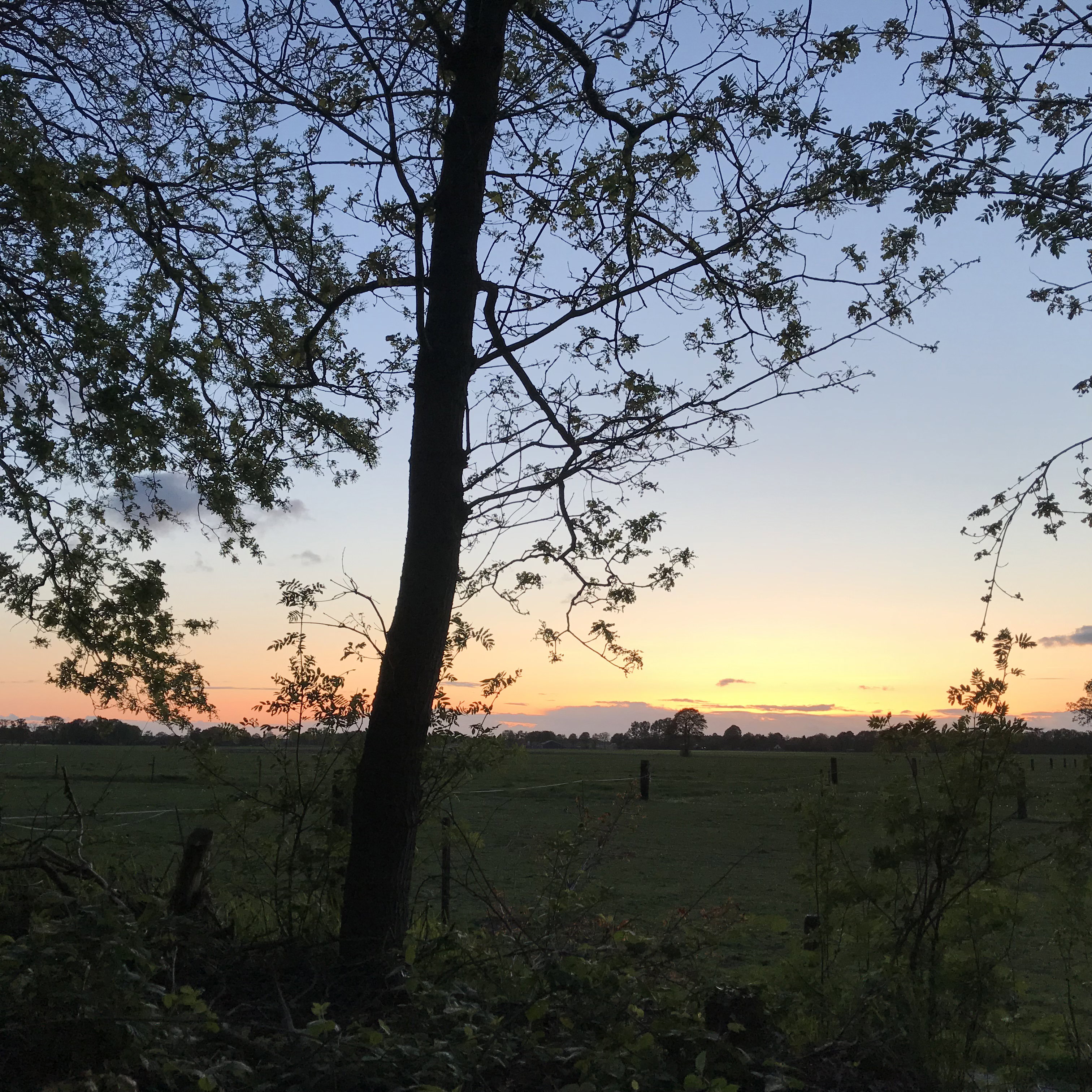 Natuurhuisje in Zorgvlied