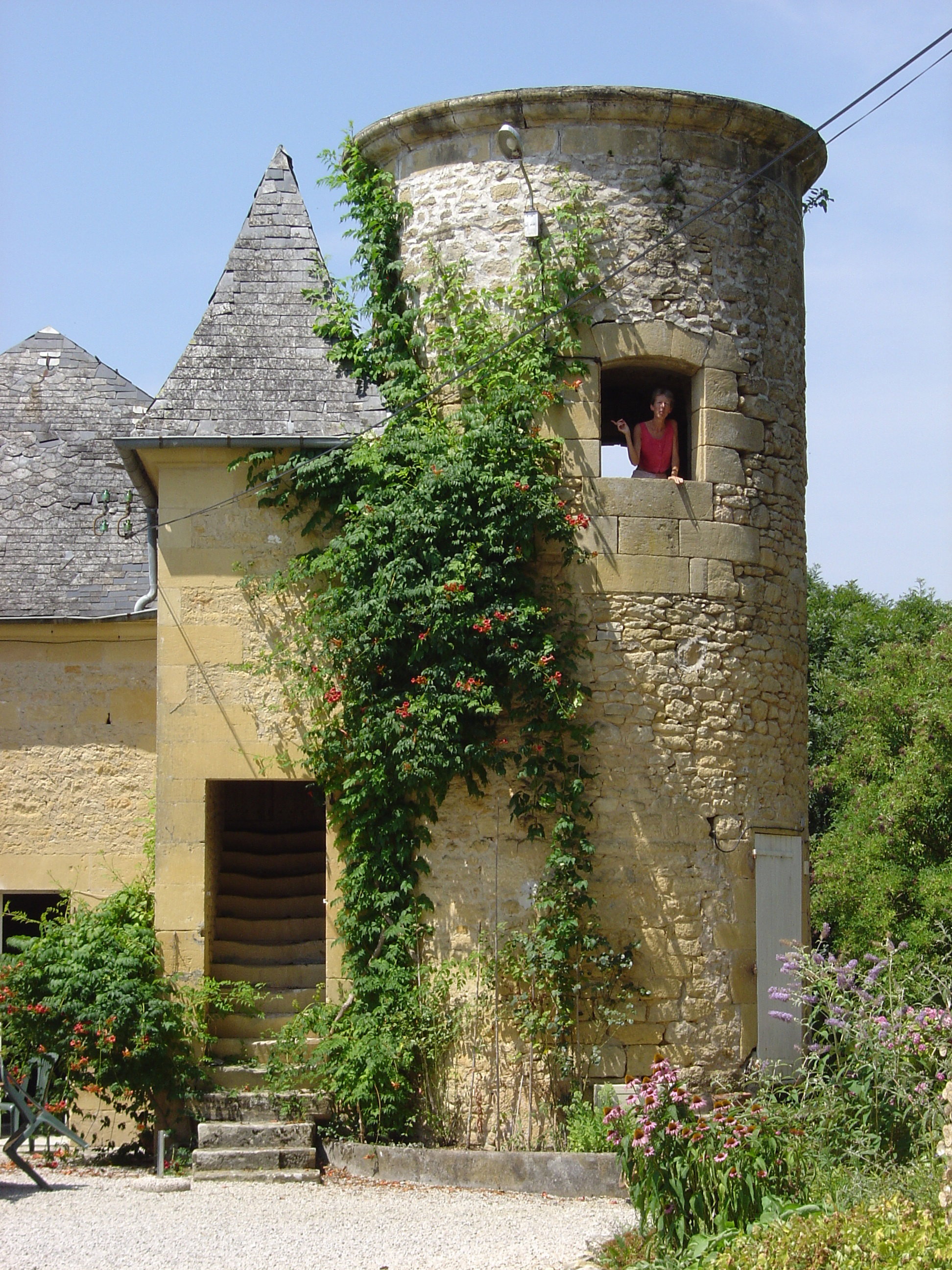 - image: 15