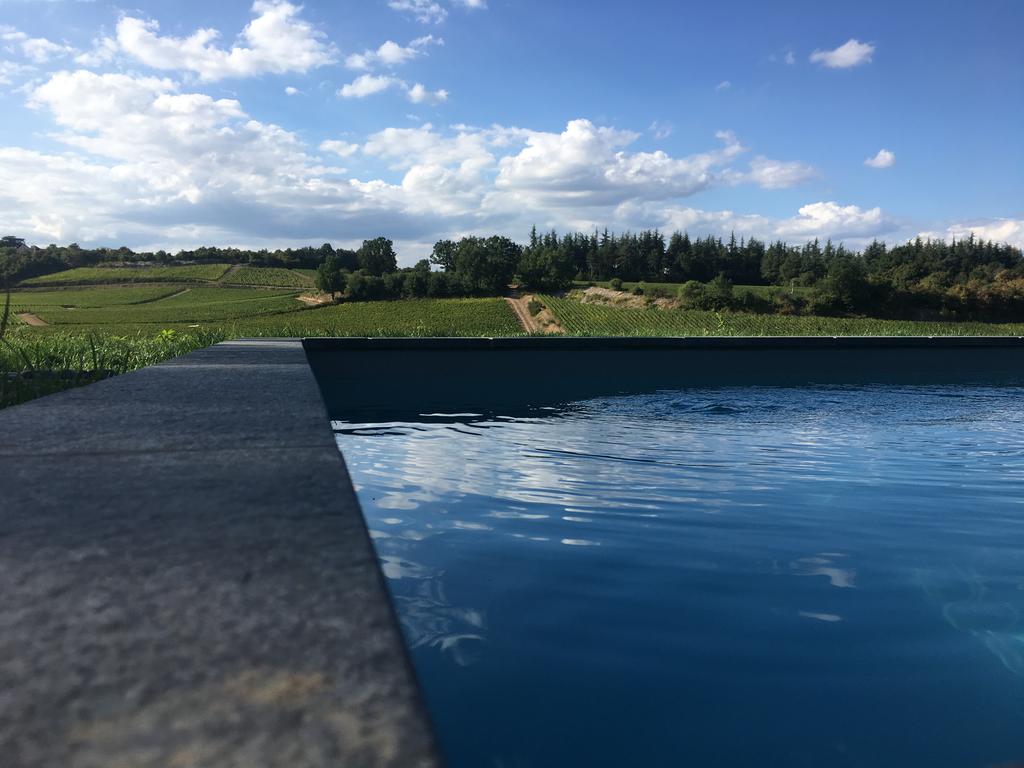 Maison nature à Mercurey