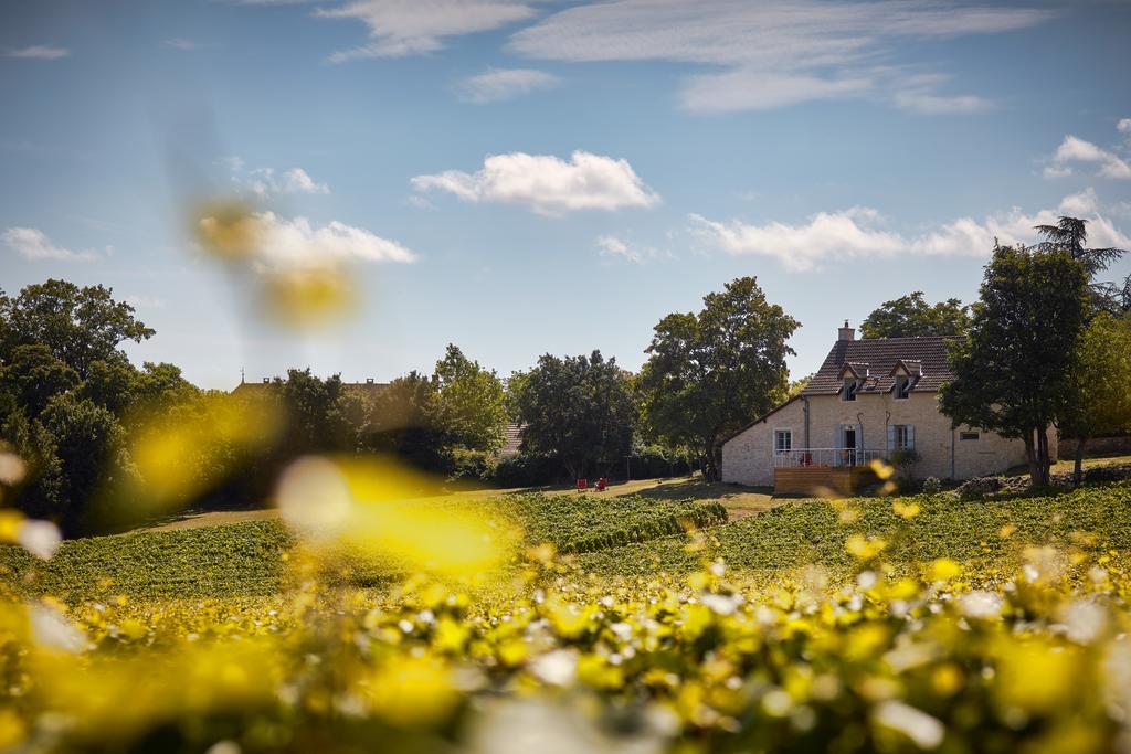 Maison nature à Mercurey