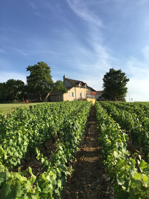 Maison nature à Mercurey