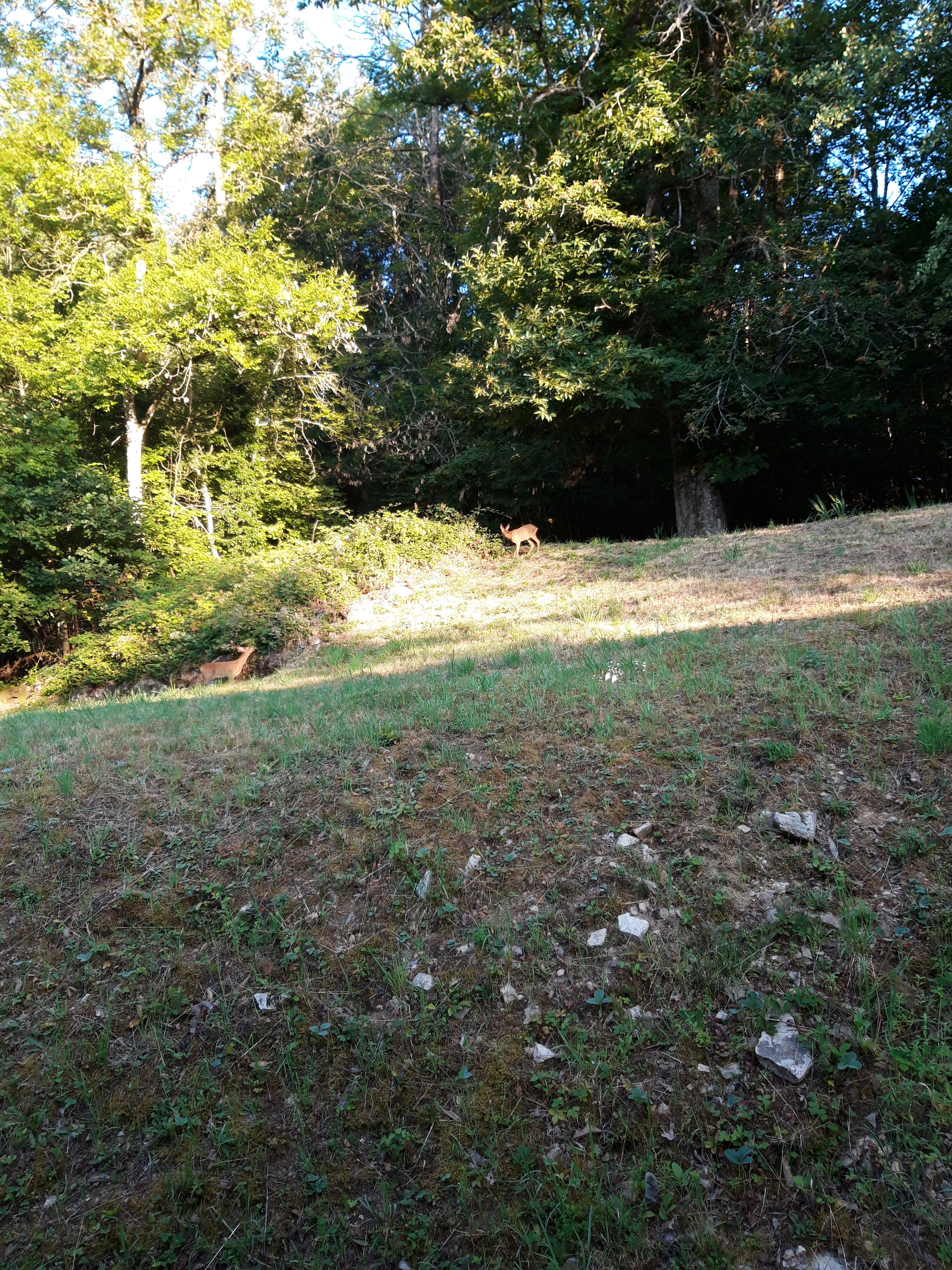 Natuurhuisje in St.Prix-Morvan