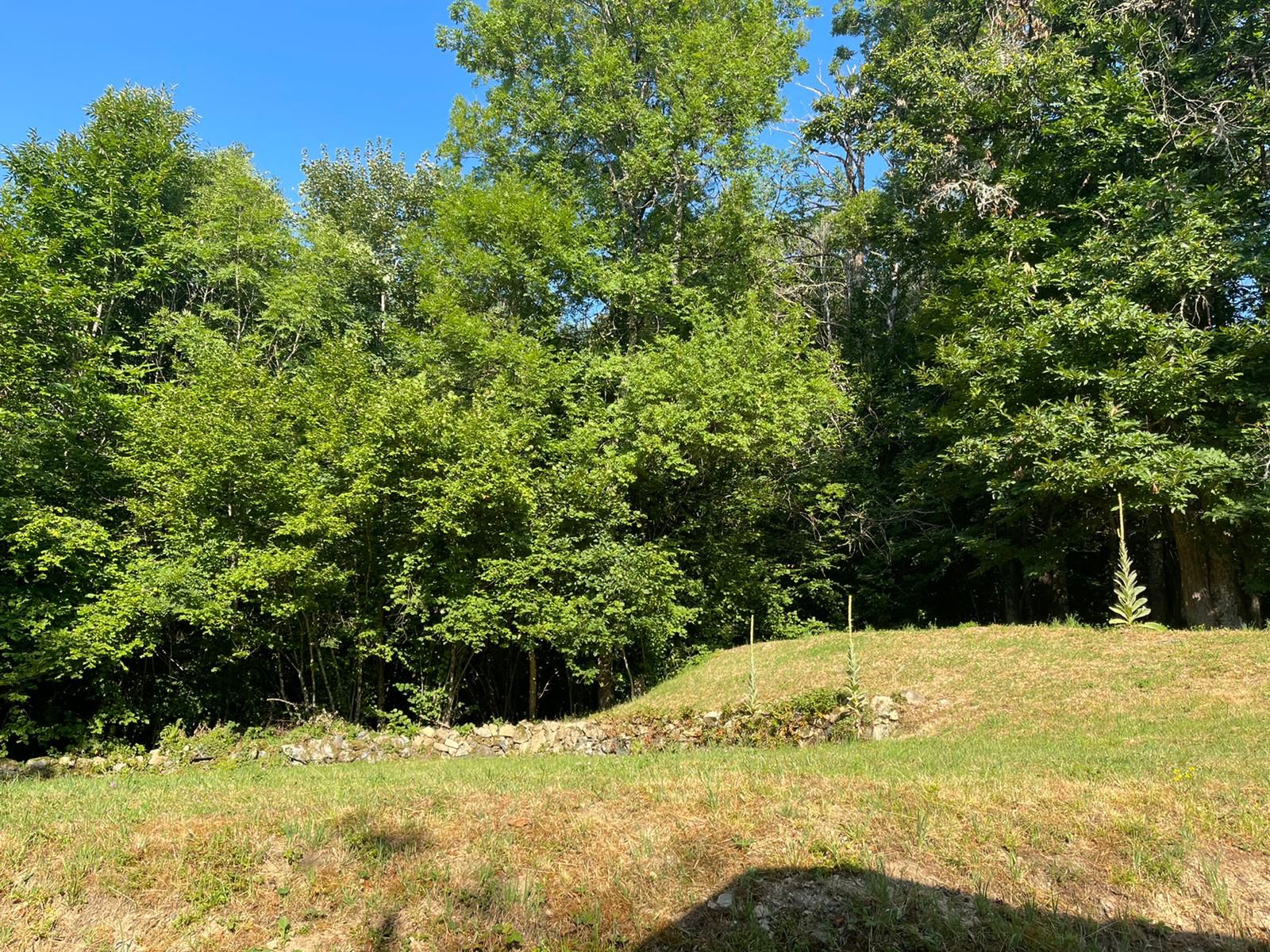 Natuurhuisje in St.Prix-Morvan