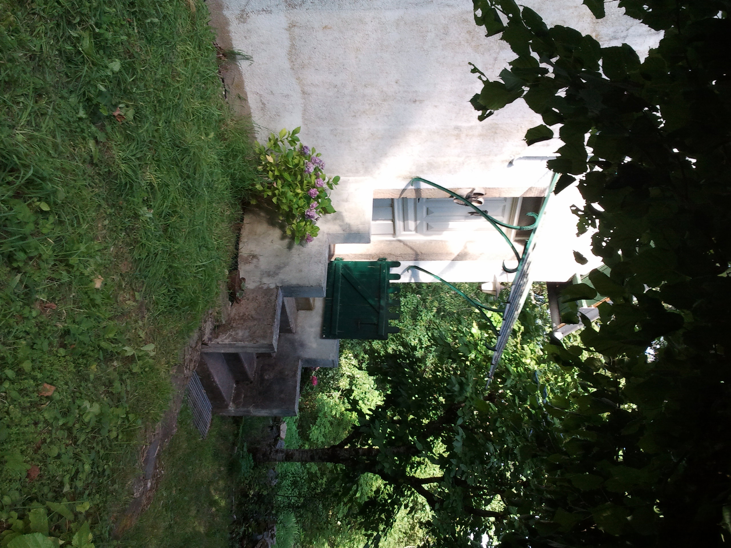 - image: 4