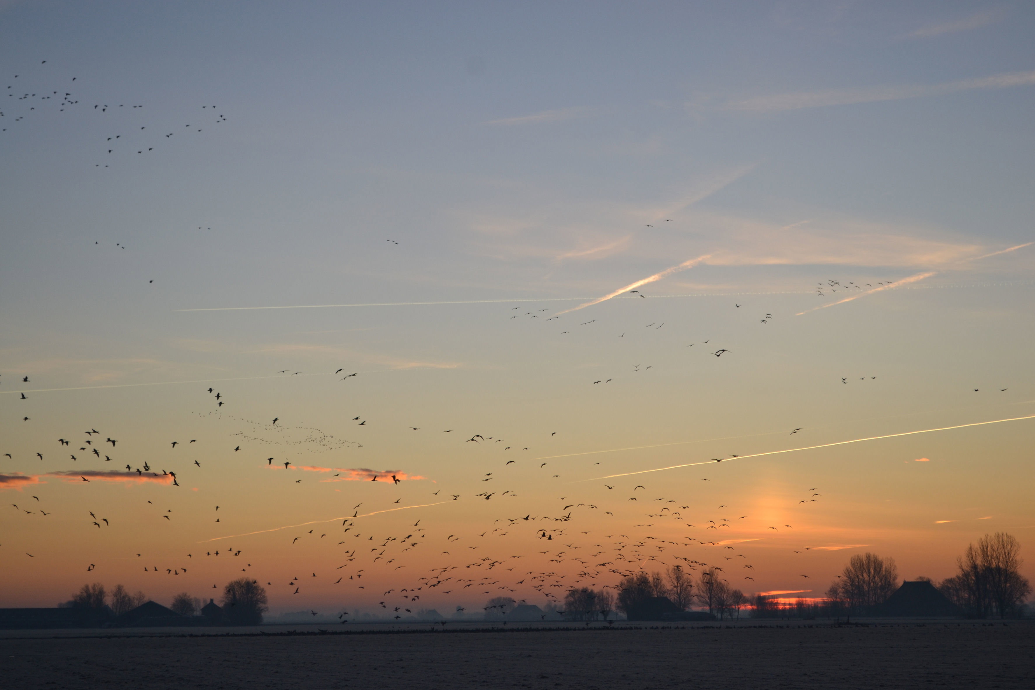 Naturhäuschen in Ferwoude