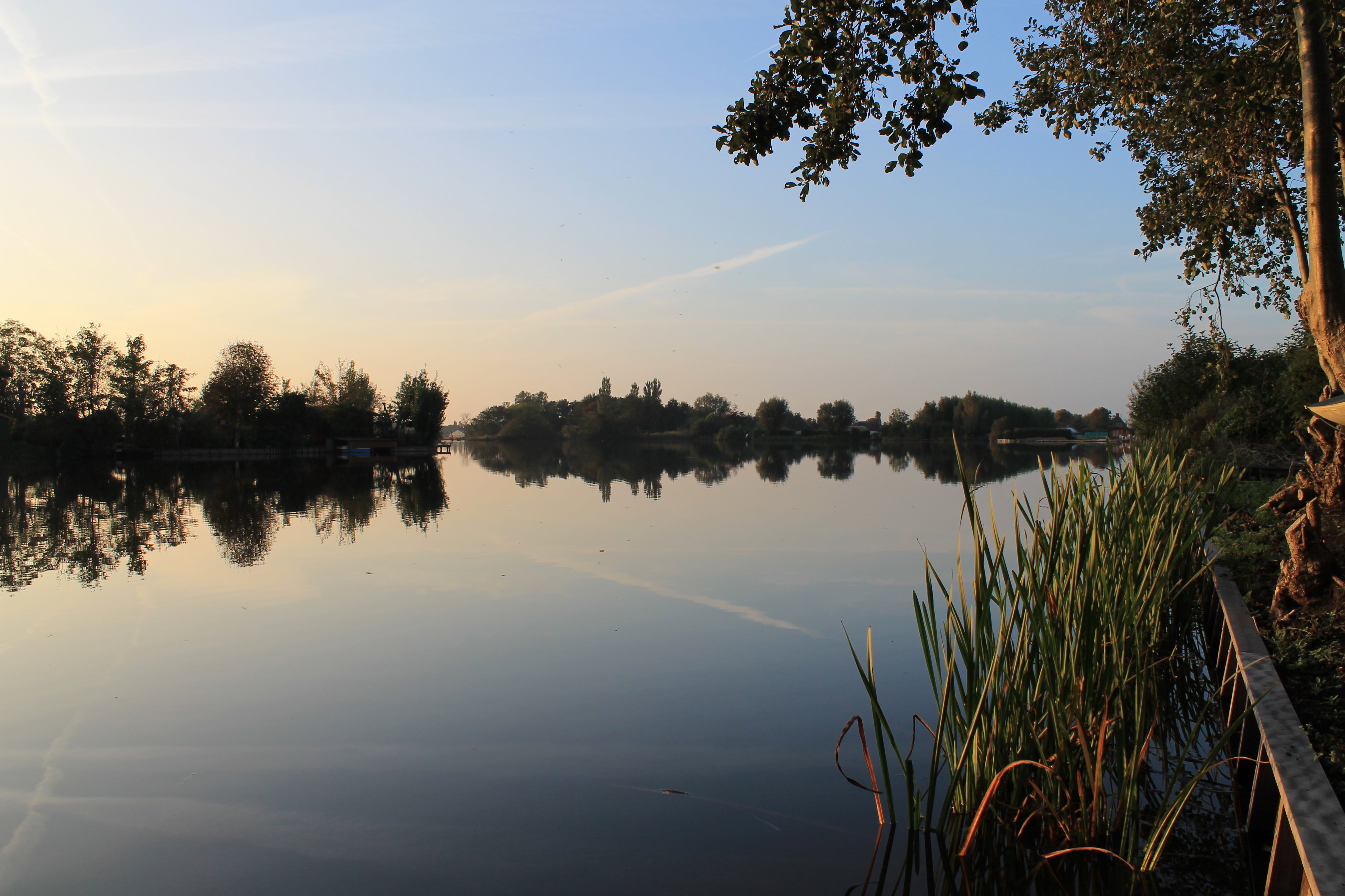 - image: 14