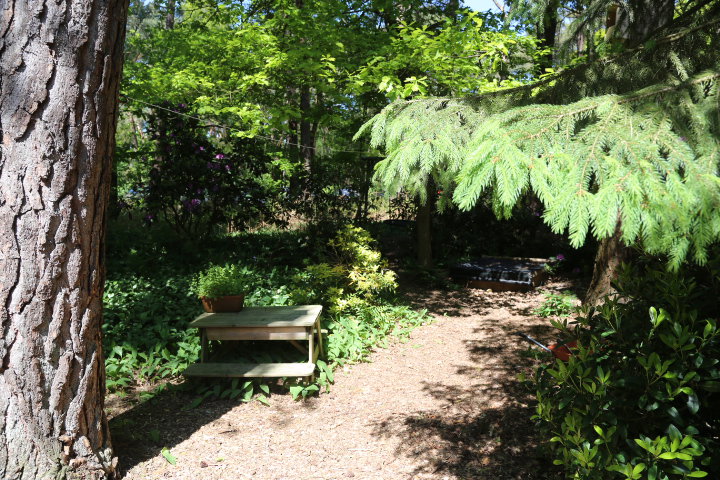 Natuurhuisje in Stegeren