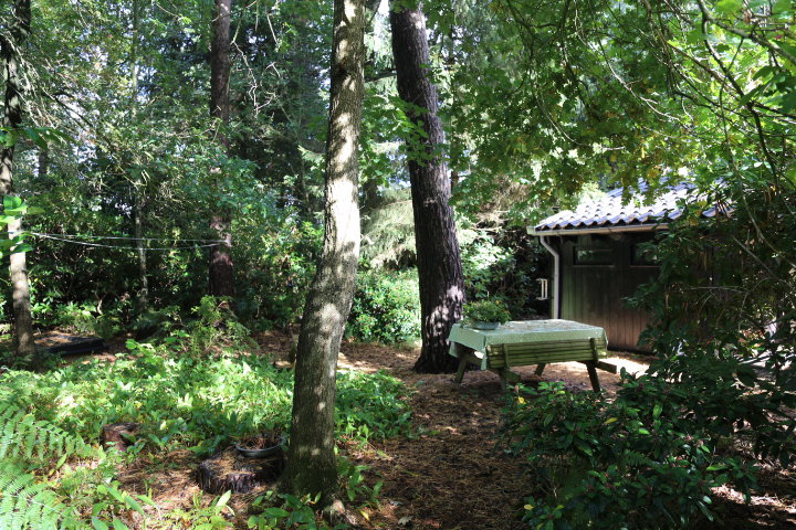 Natuurhuisje in Stegeren