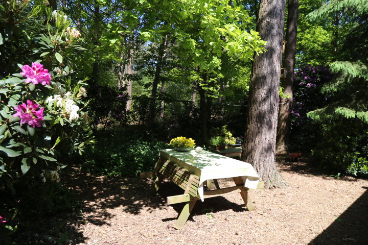Natuurhuisje in Stegeren