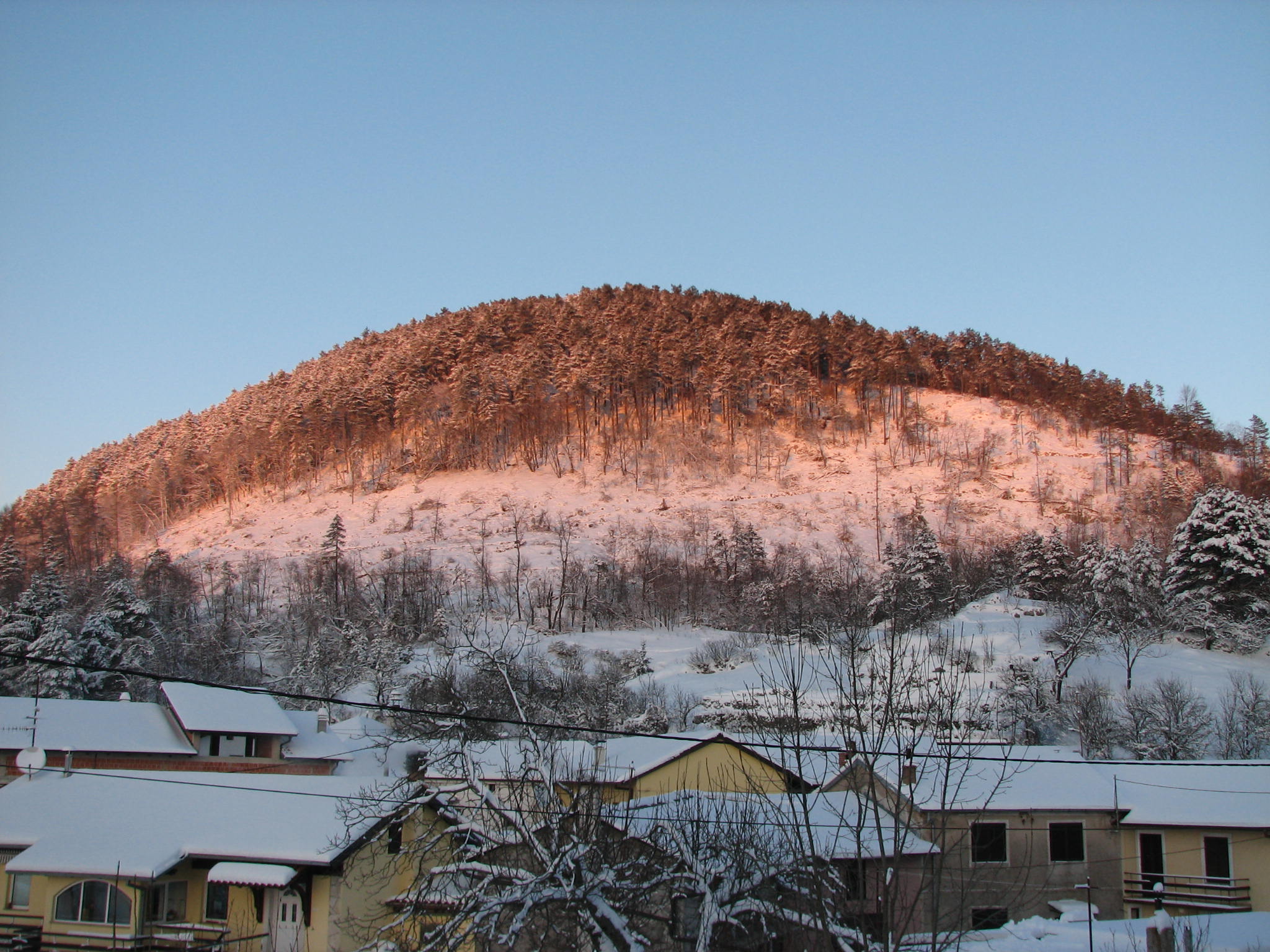 - image: 21