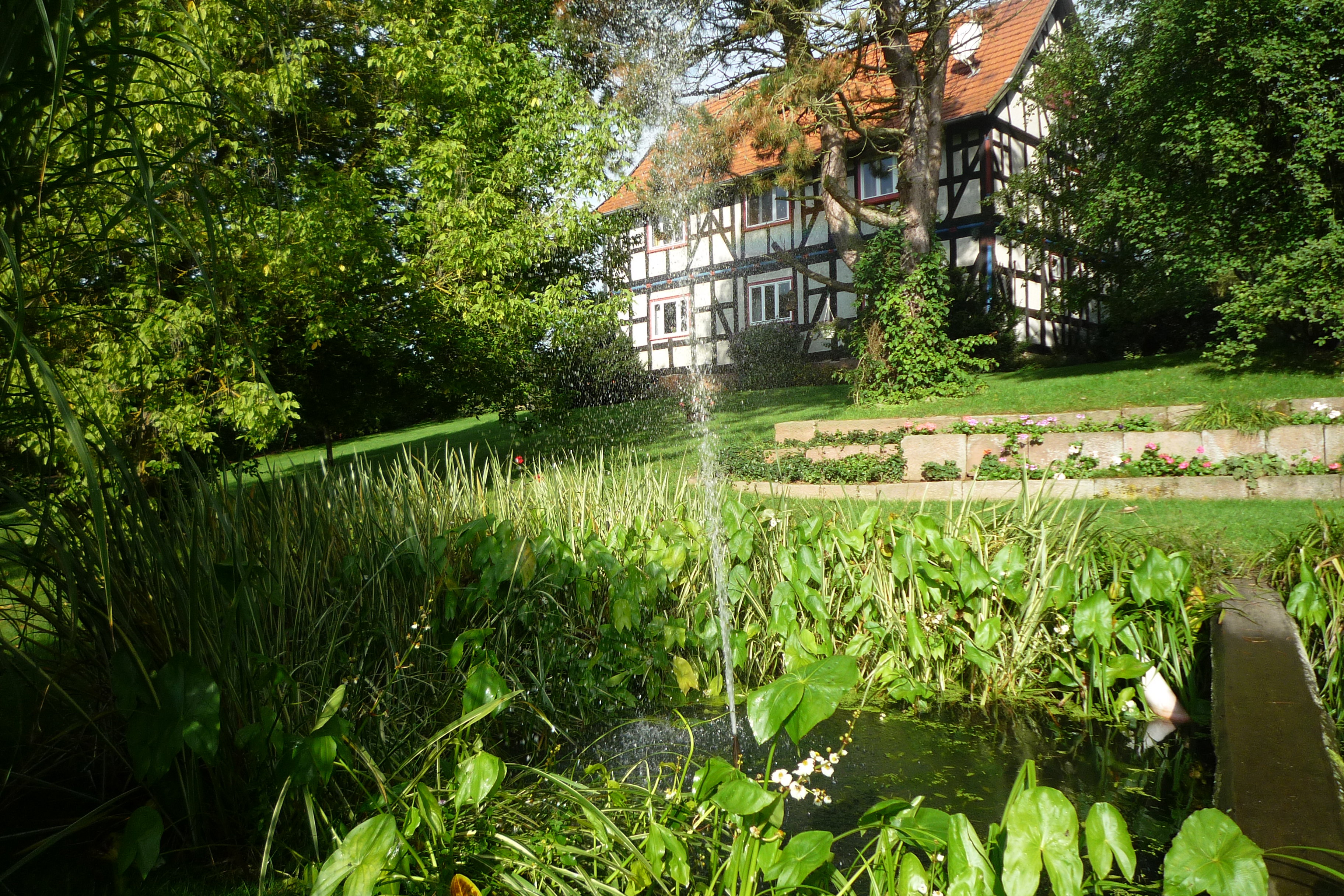 Natuurhuisje in Stadtallendorf