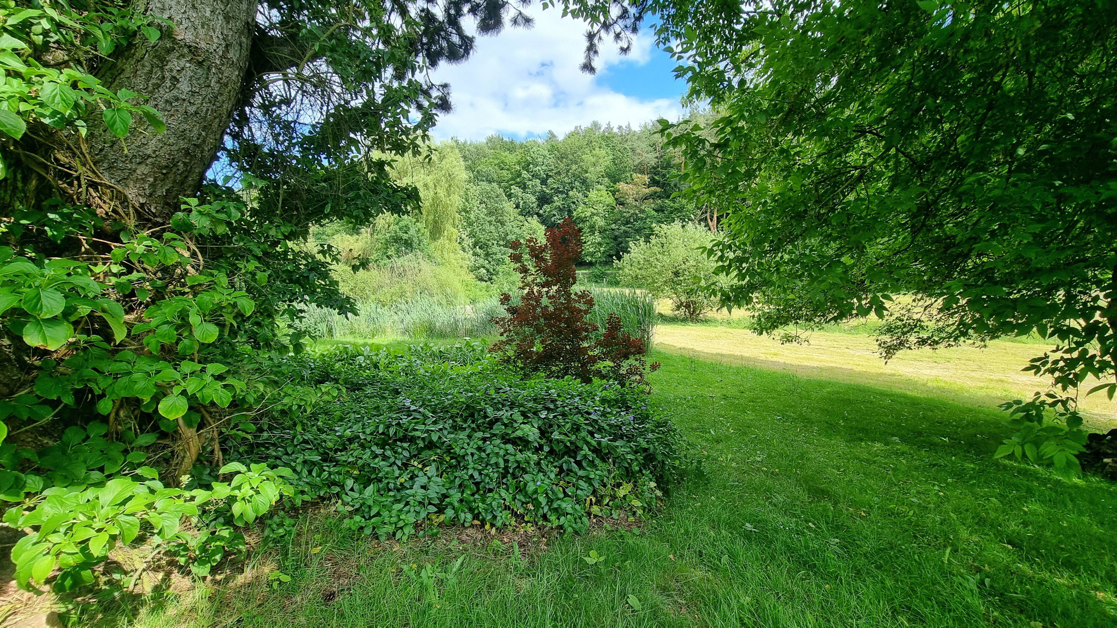 - image: 51