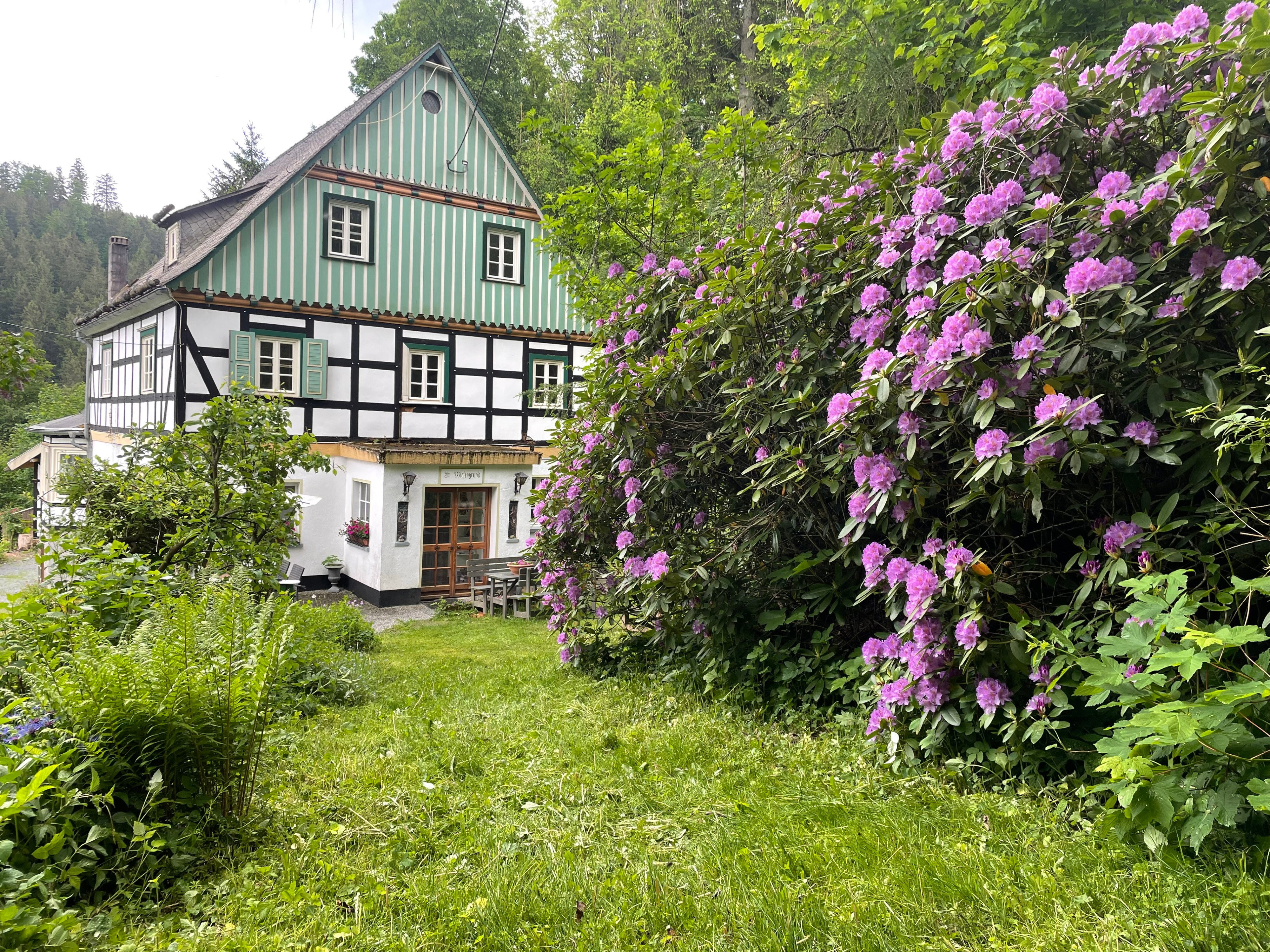 - image: 49