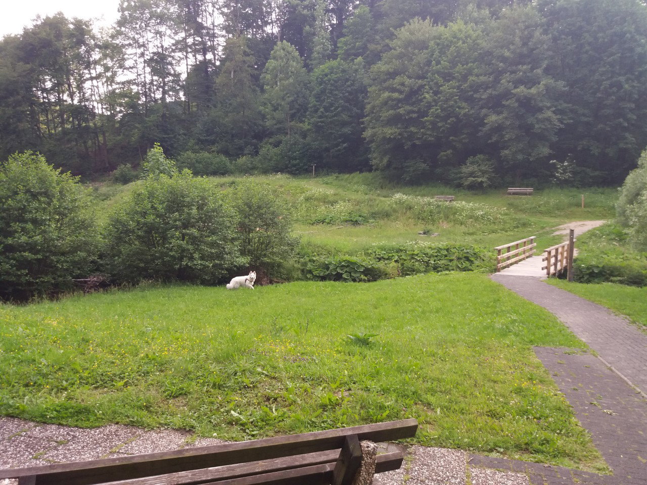 - image: 29