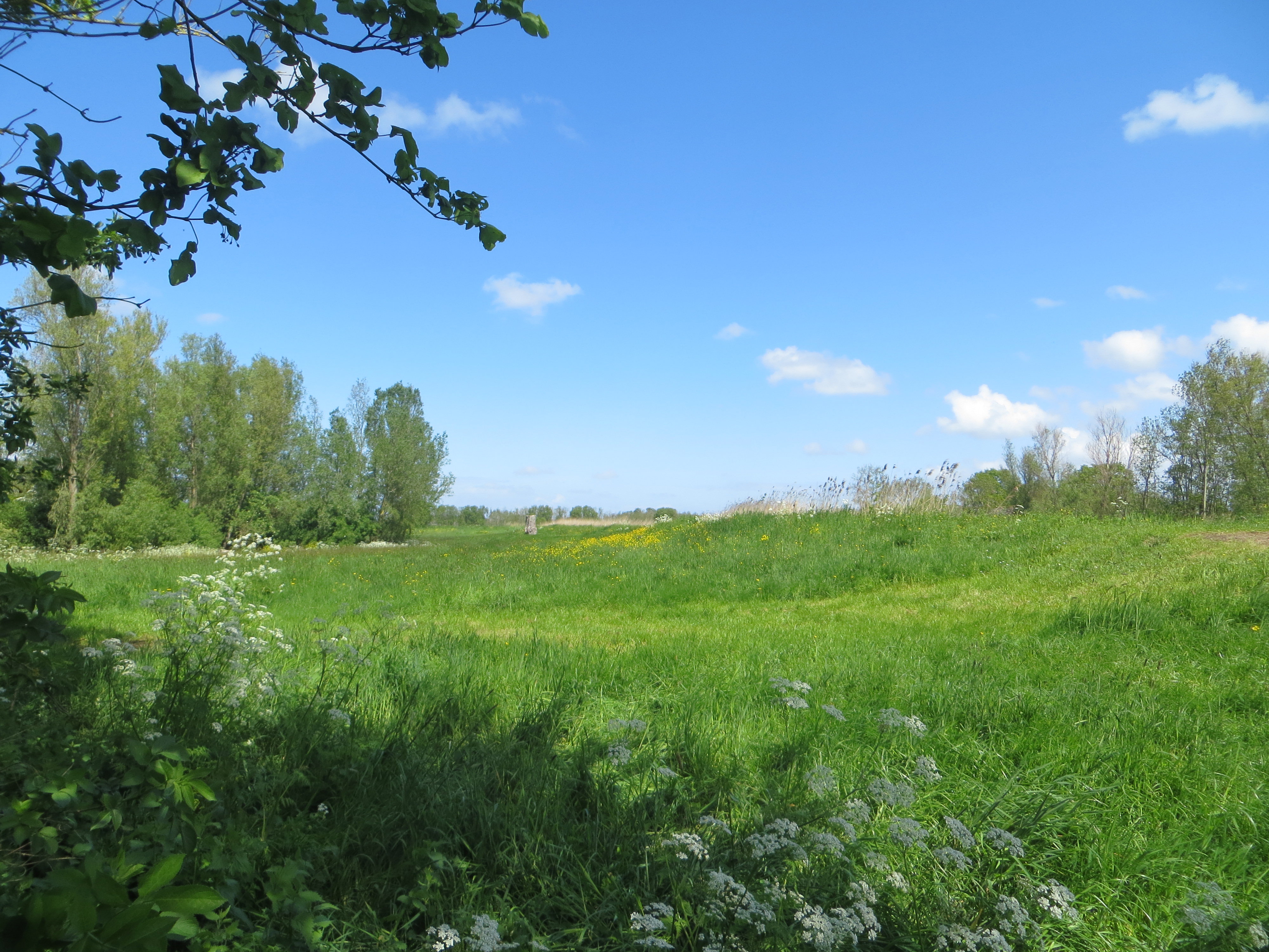 Natuurhuisje in Zoeterwoude