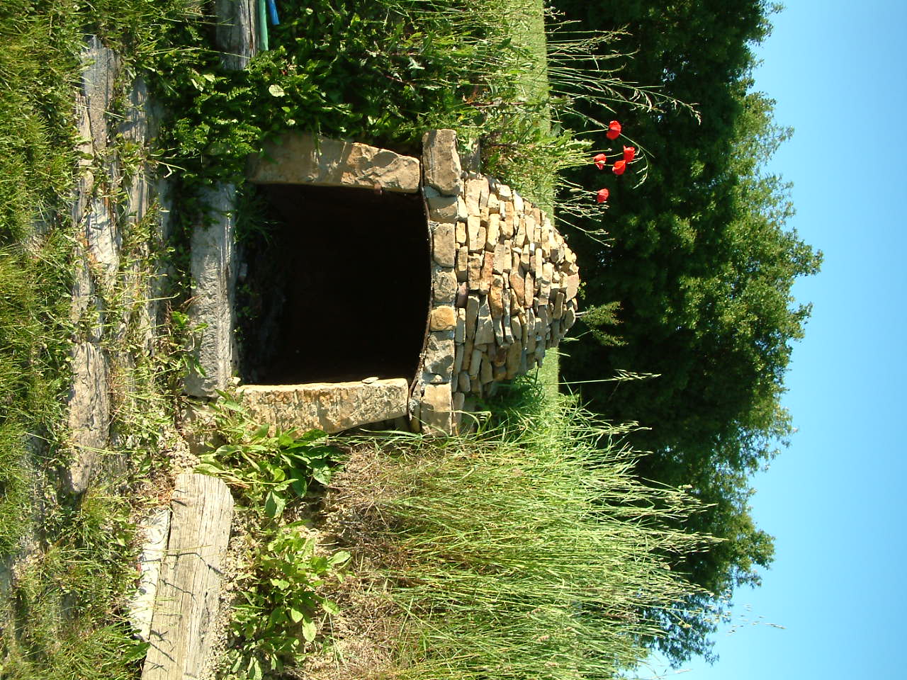 - image: 23