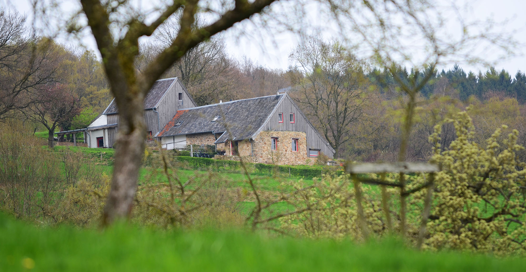 - image: 12