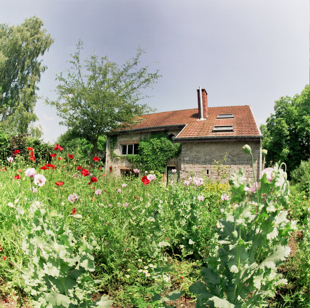 Natuurhuisje in Tohogne ( Durbuy )