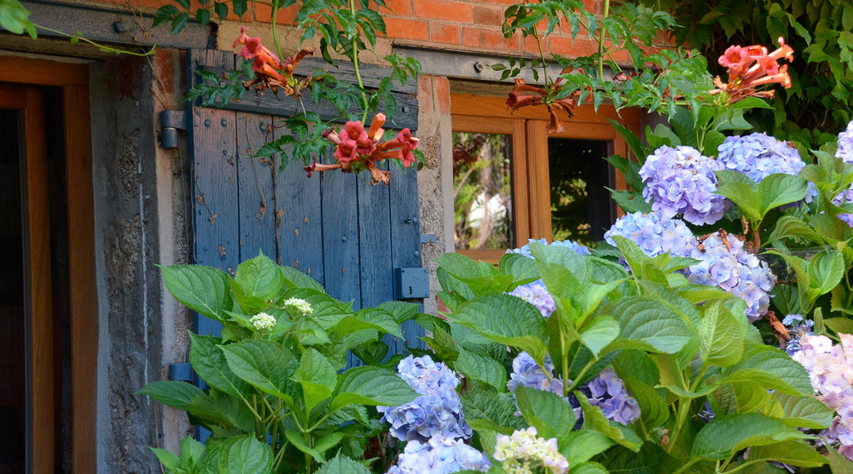 Nature house in Châtin