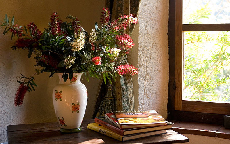 - image: 24