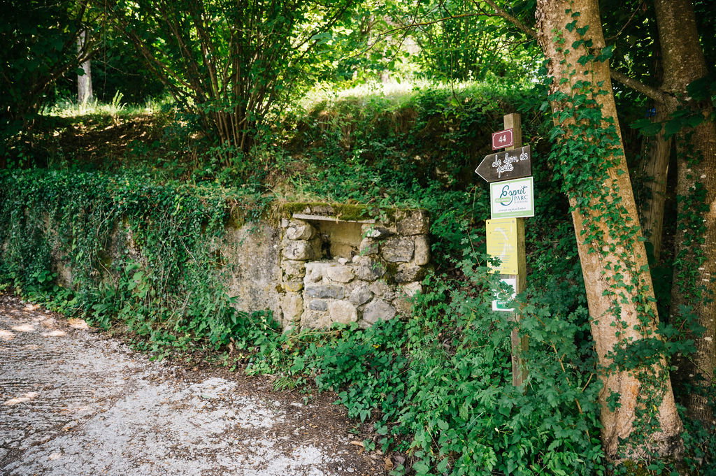 - image: 20