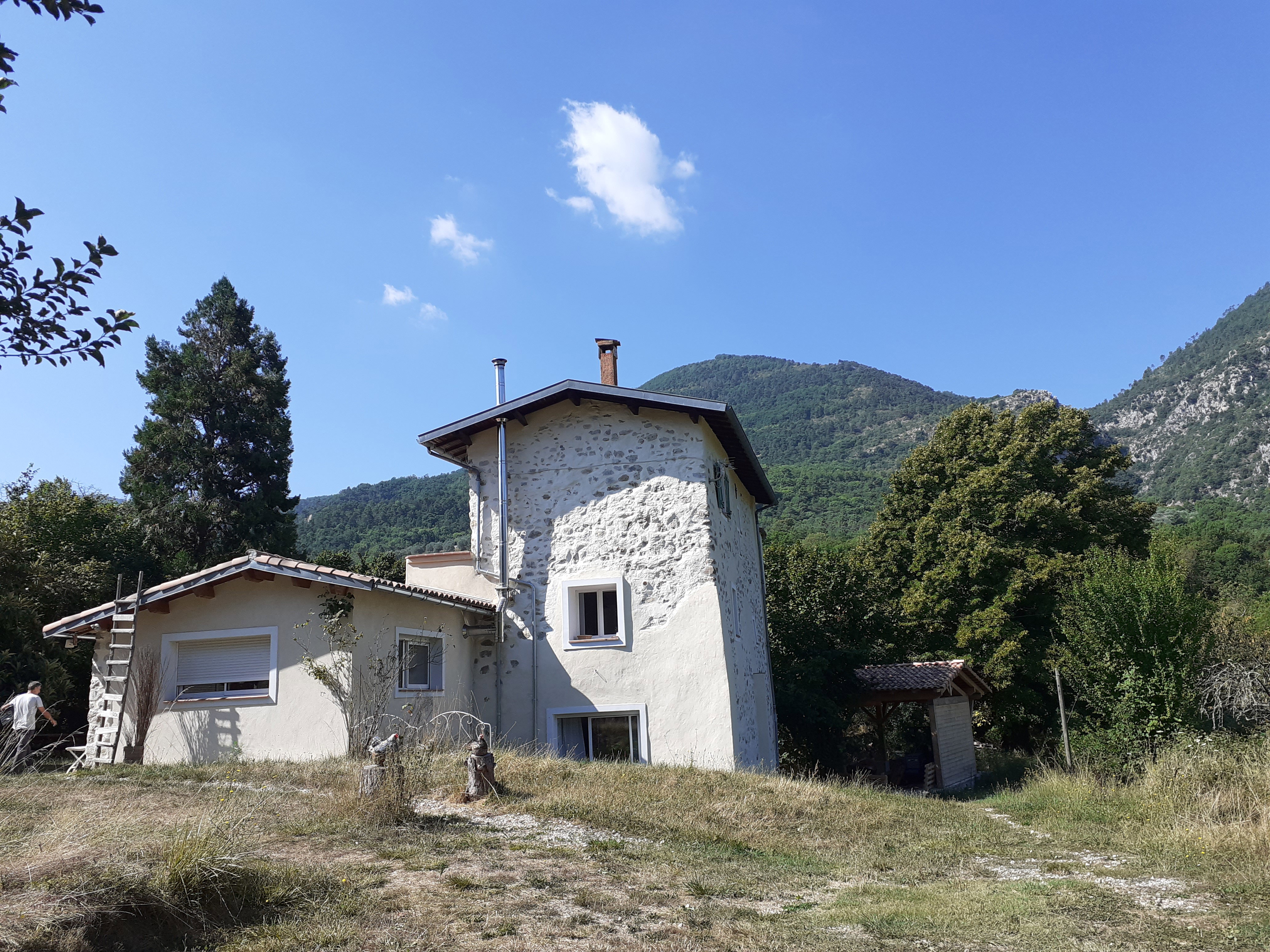 - image: 11