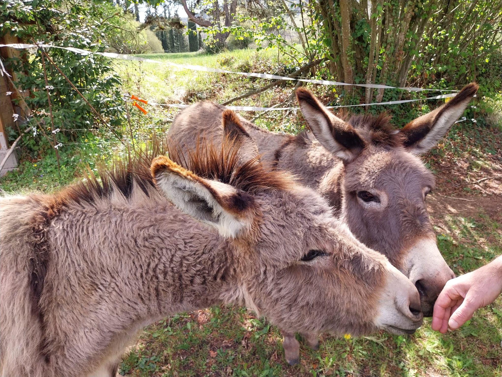 Natuurhuisje in le brin de paille