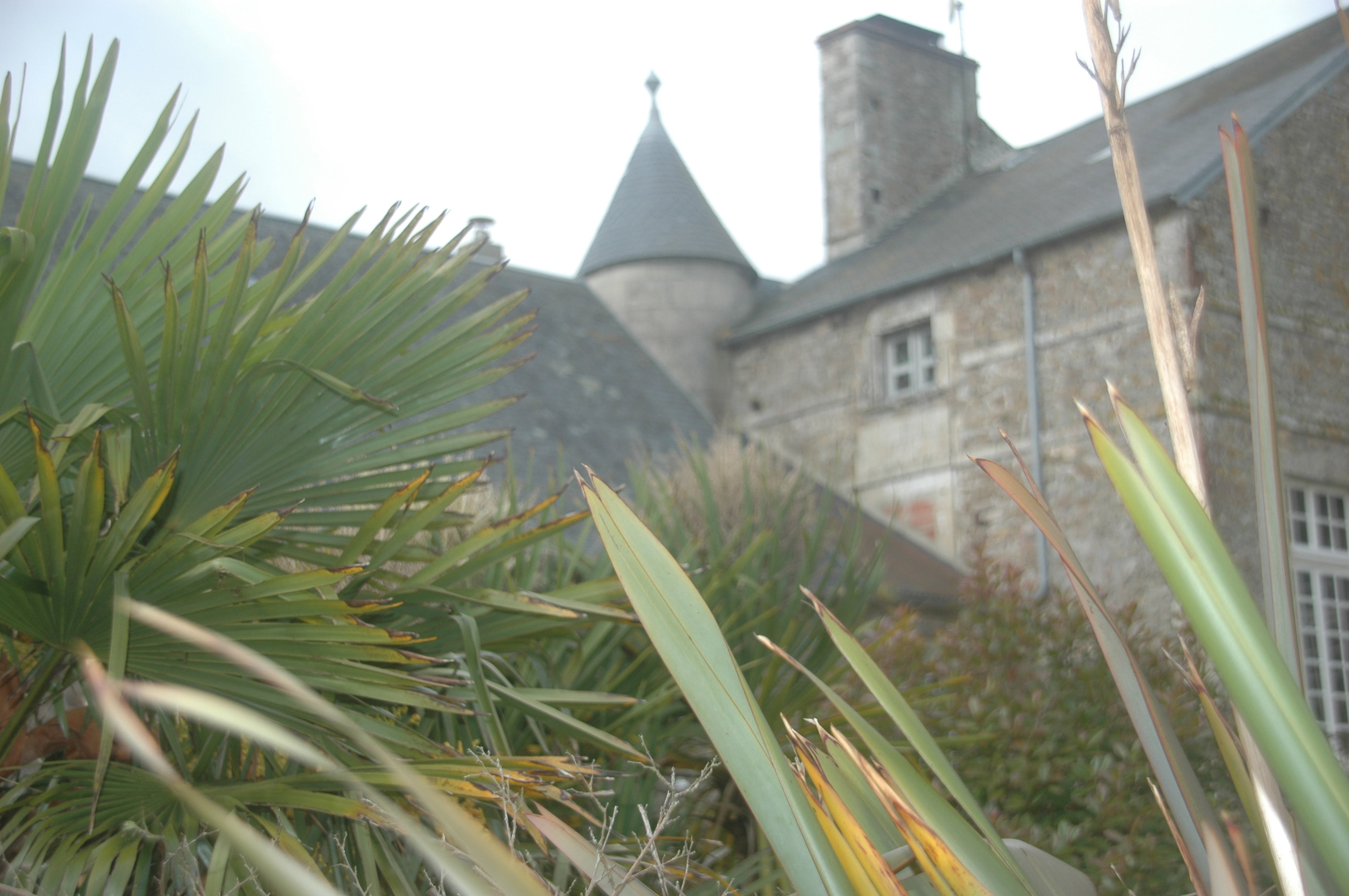 Casa nella natura a Saint Patrice de Claids