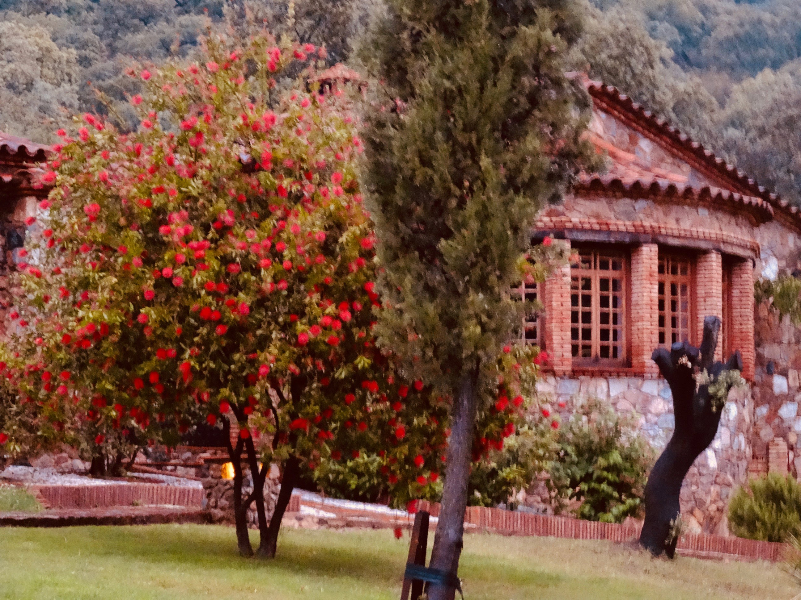 Natuurhuisje in Alájar