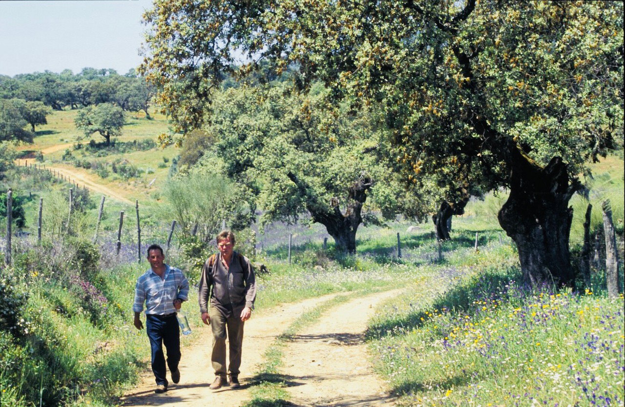 Natuurhuisje in Alájar