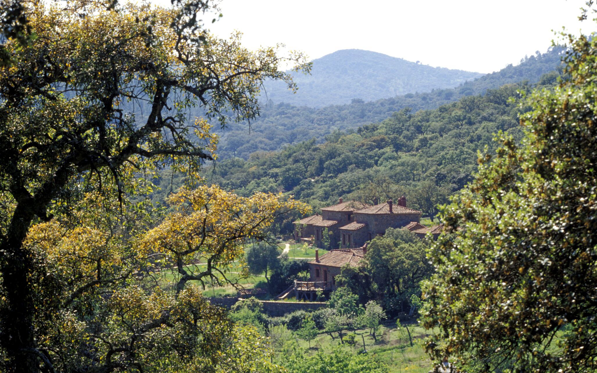 Natuurhuisje in Alájar