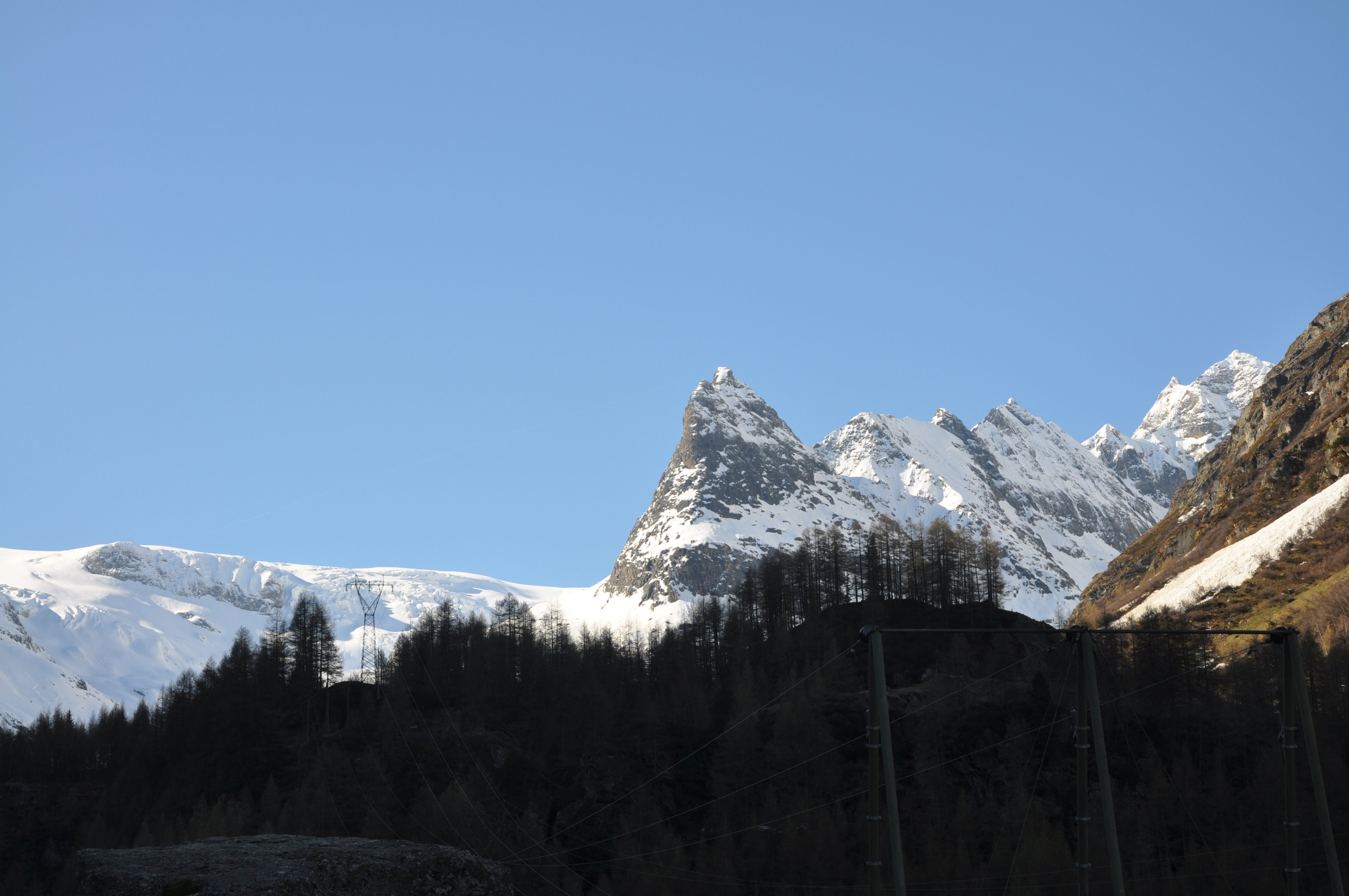 - image: 24