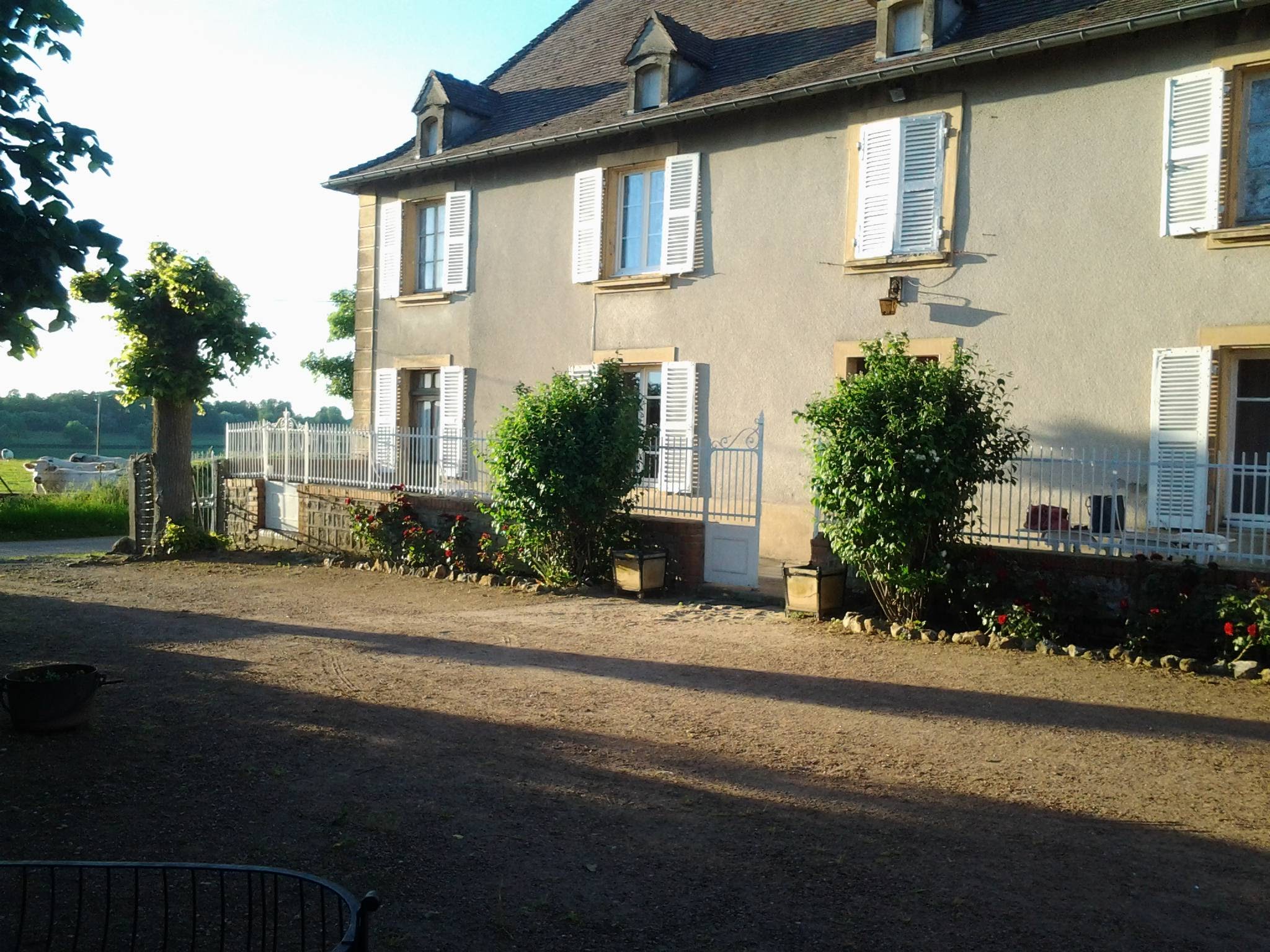 - image: 13