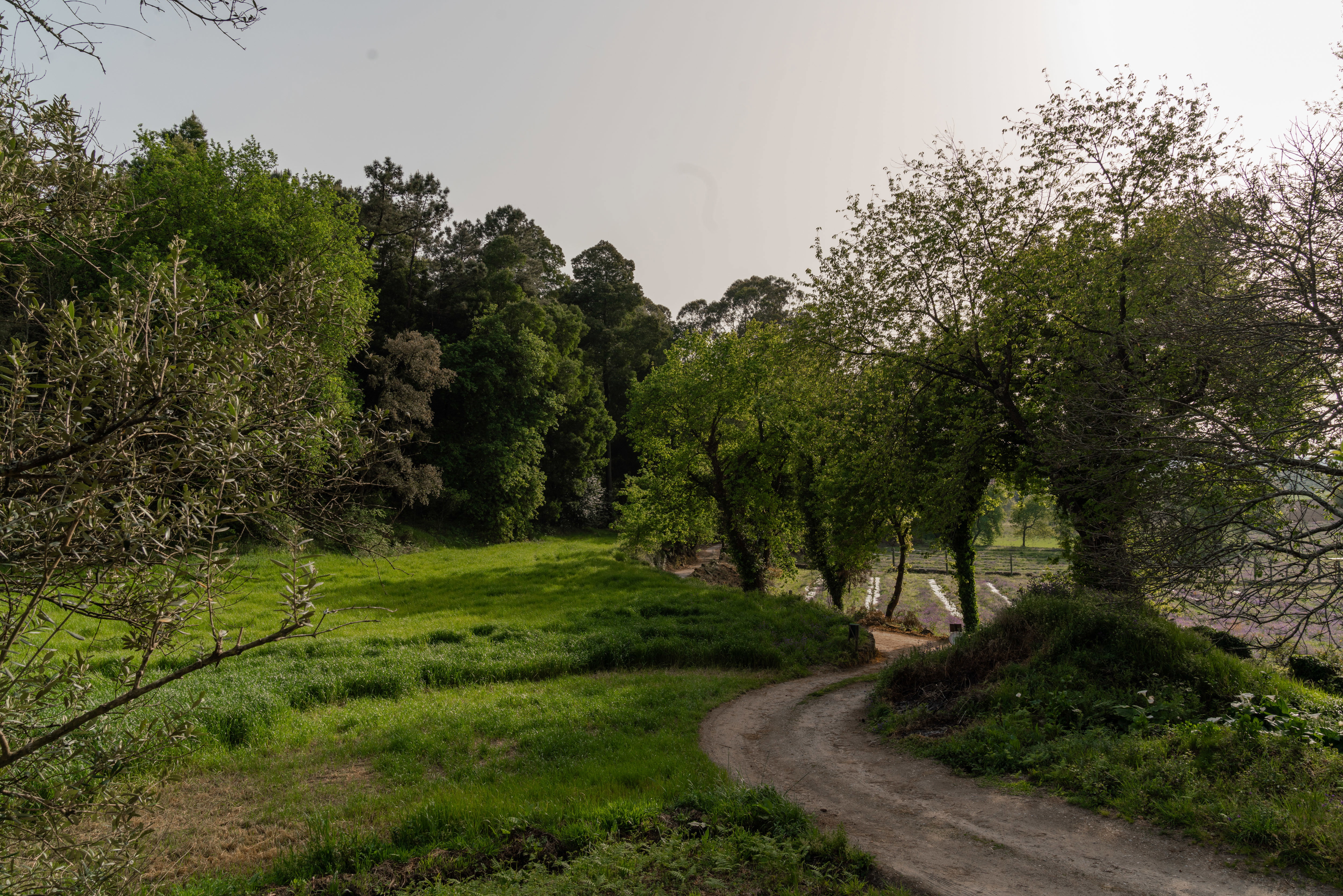 Maison nature à Cruz