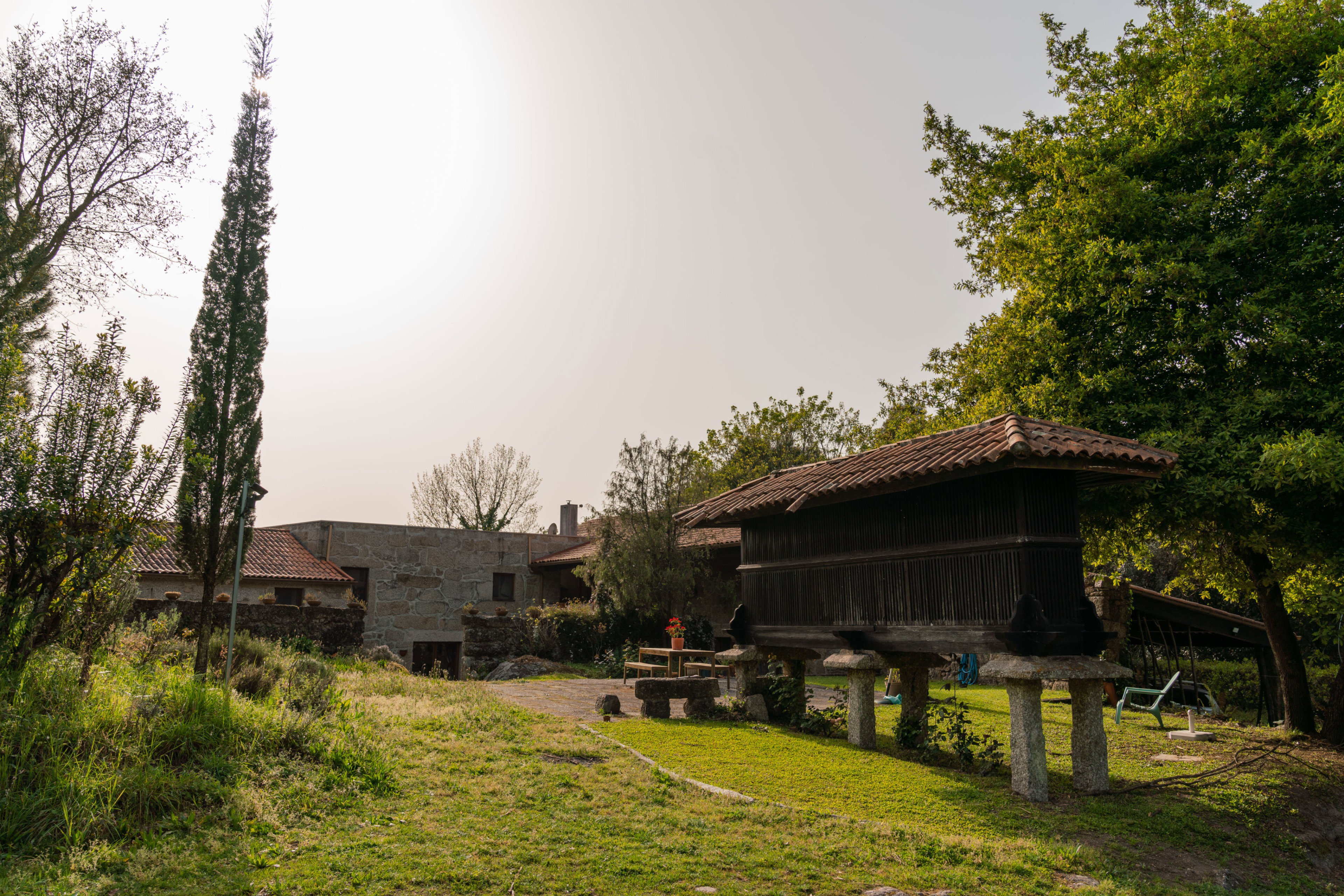 - image: 19